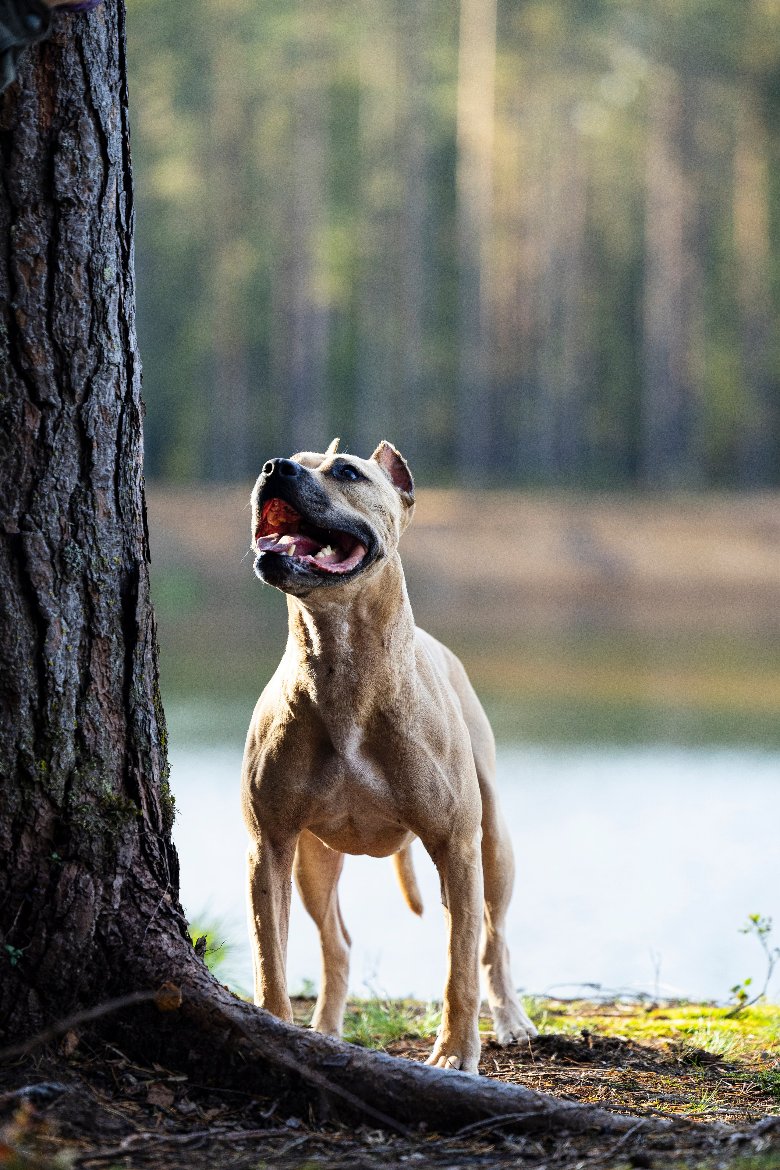 Фобос. Фотограф-анималист Анна Маринич