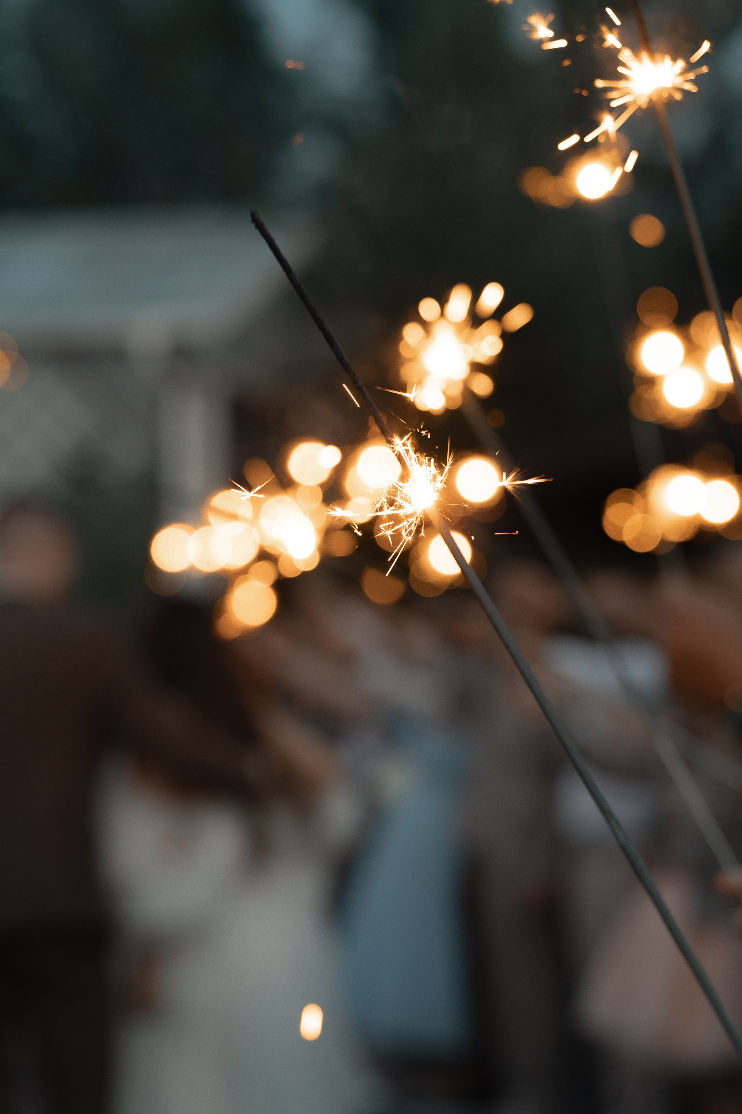 Свадьба Кати и Димы — парк Александрия и Петергоф Лофт. Свадебный фотограф Дмитрий Родионов — Санкт-Петербург и Ленинградская область