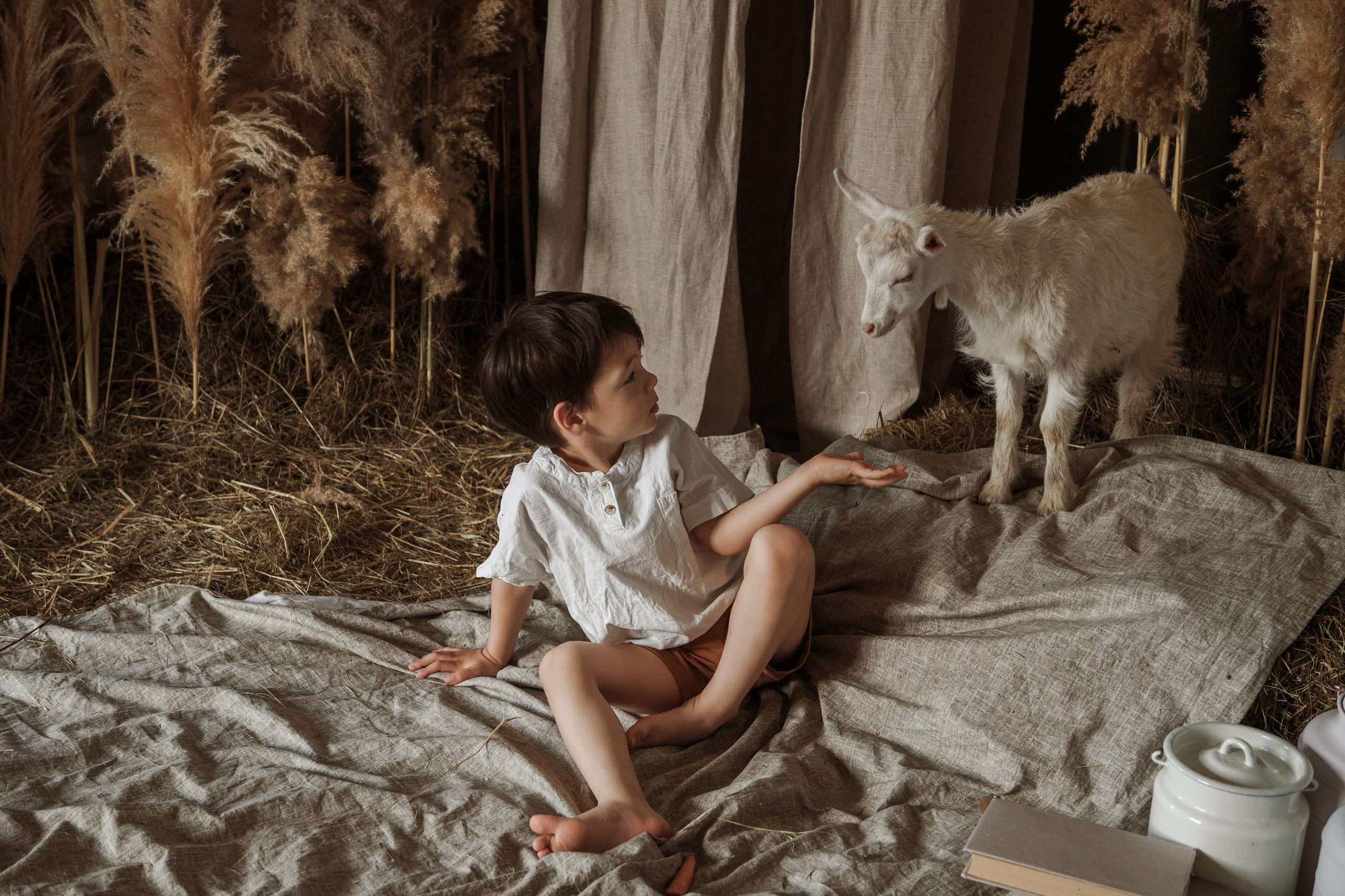 Съемка с козликом. Фотограф Кристина Гришина Рязань