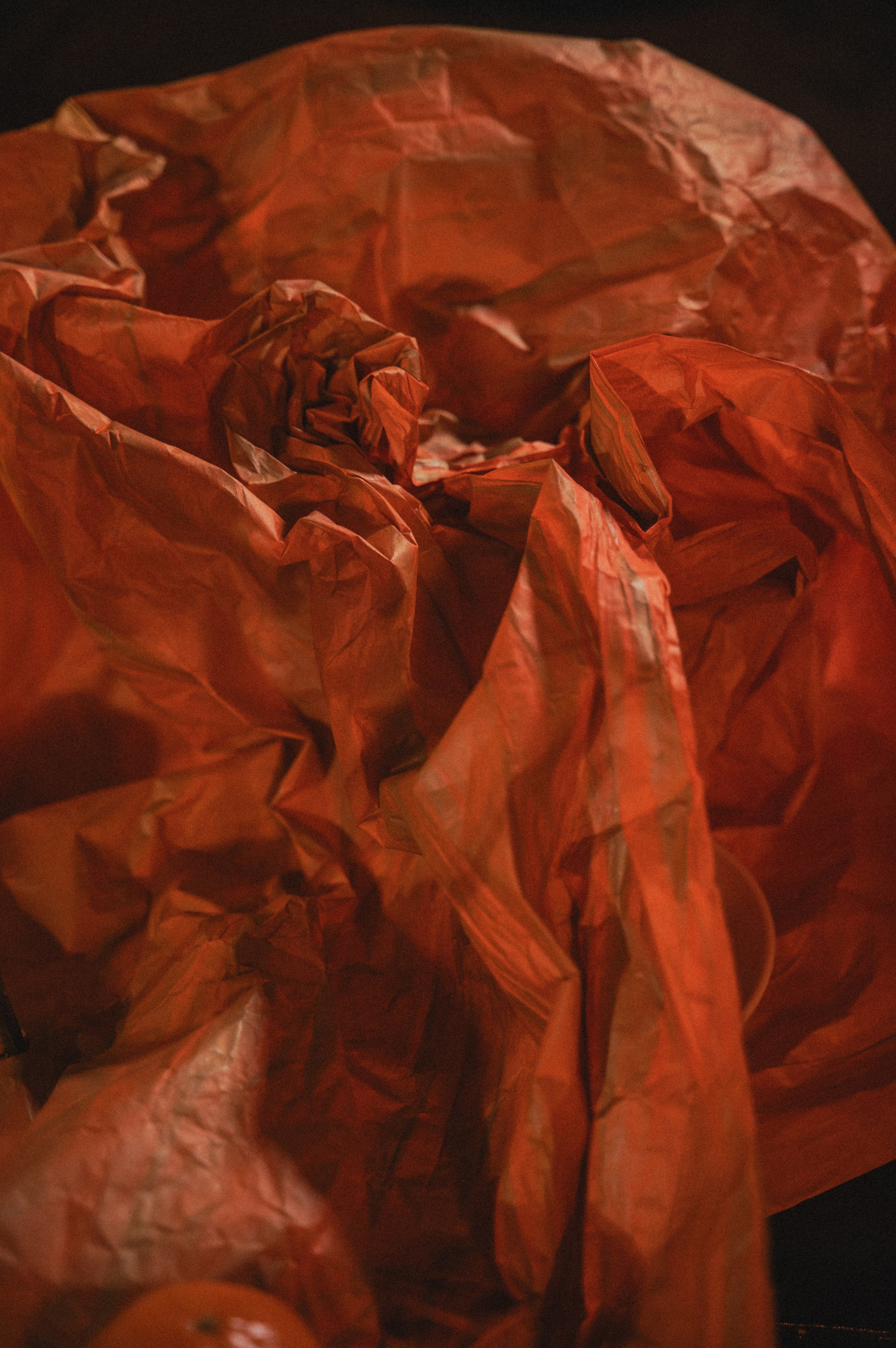 Альбом19. Свадебный фотограф в Рязани Дзюрак Елизавета