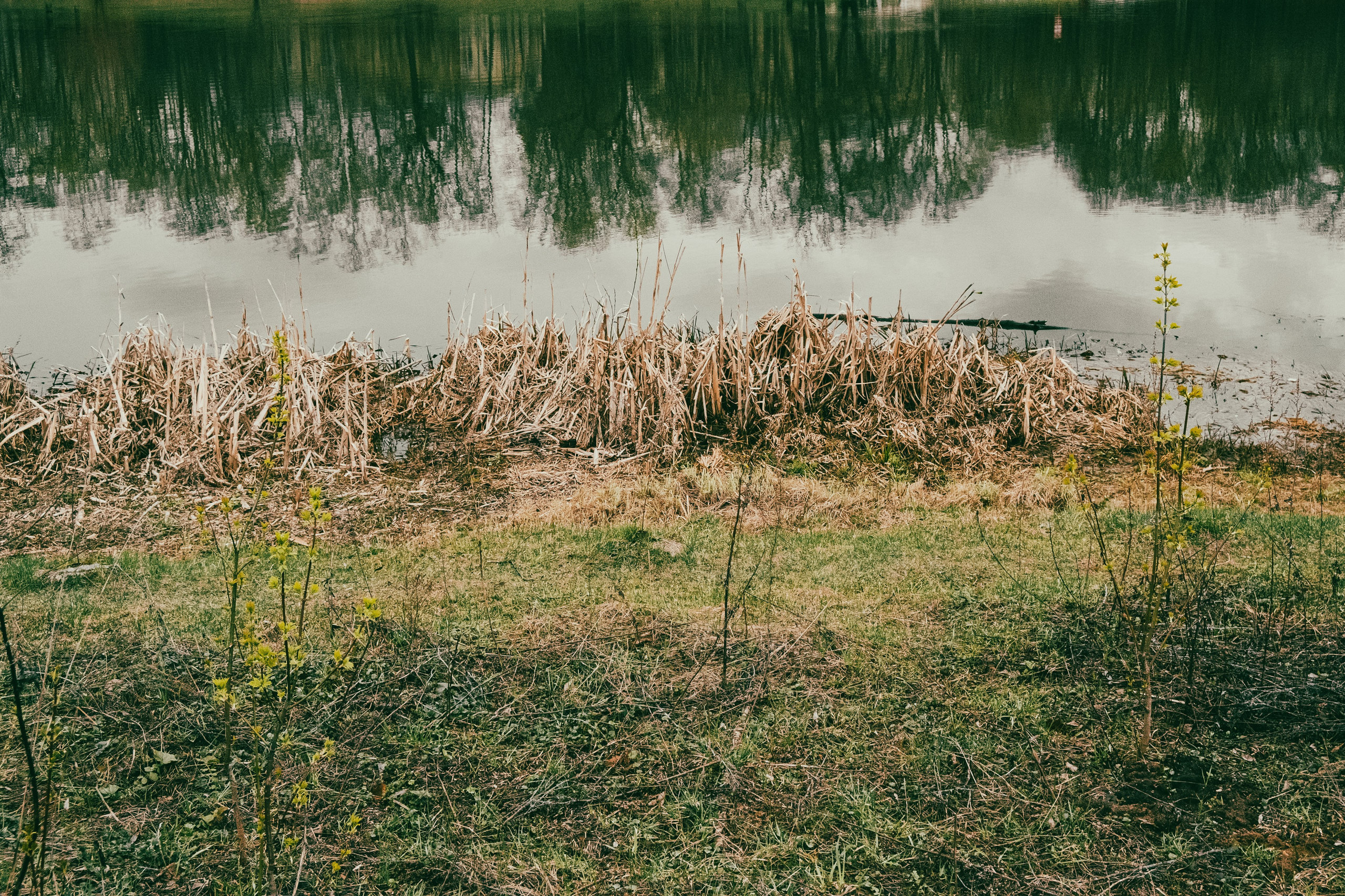 Текстуры апреля. Портретный и архитектурный фотограф в Москве и Санкт-Петербурге