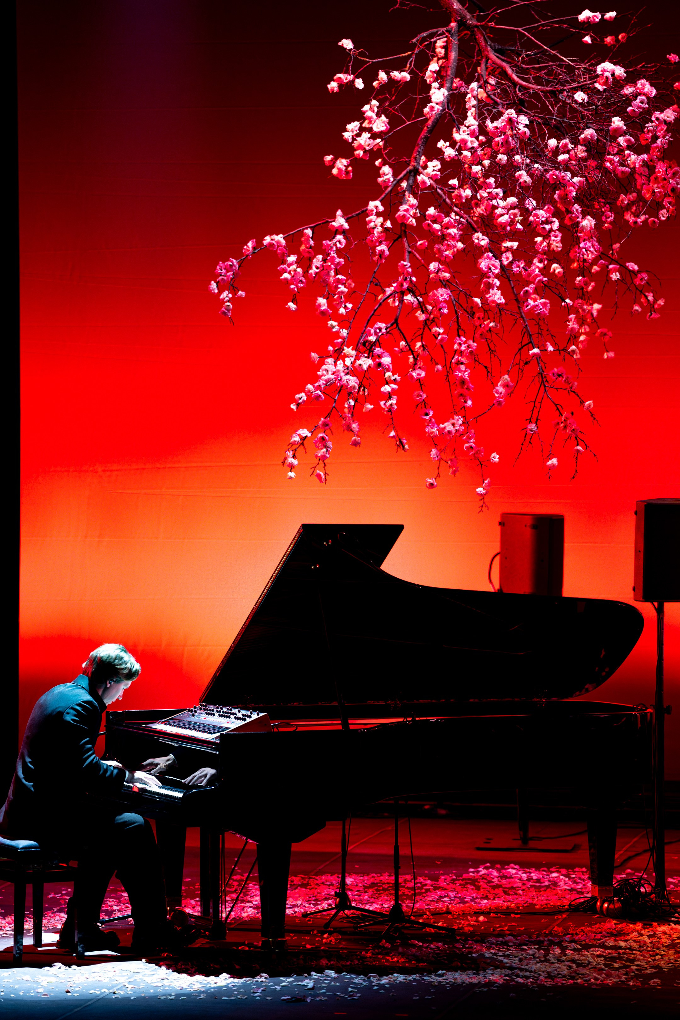 Никола Мельников / 2024. OOPS