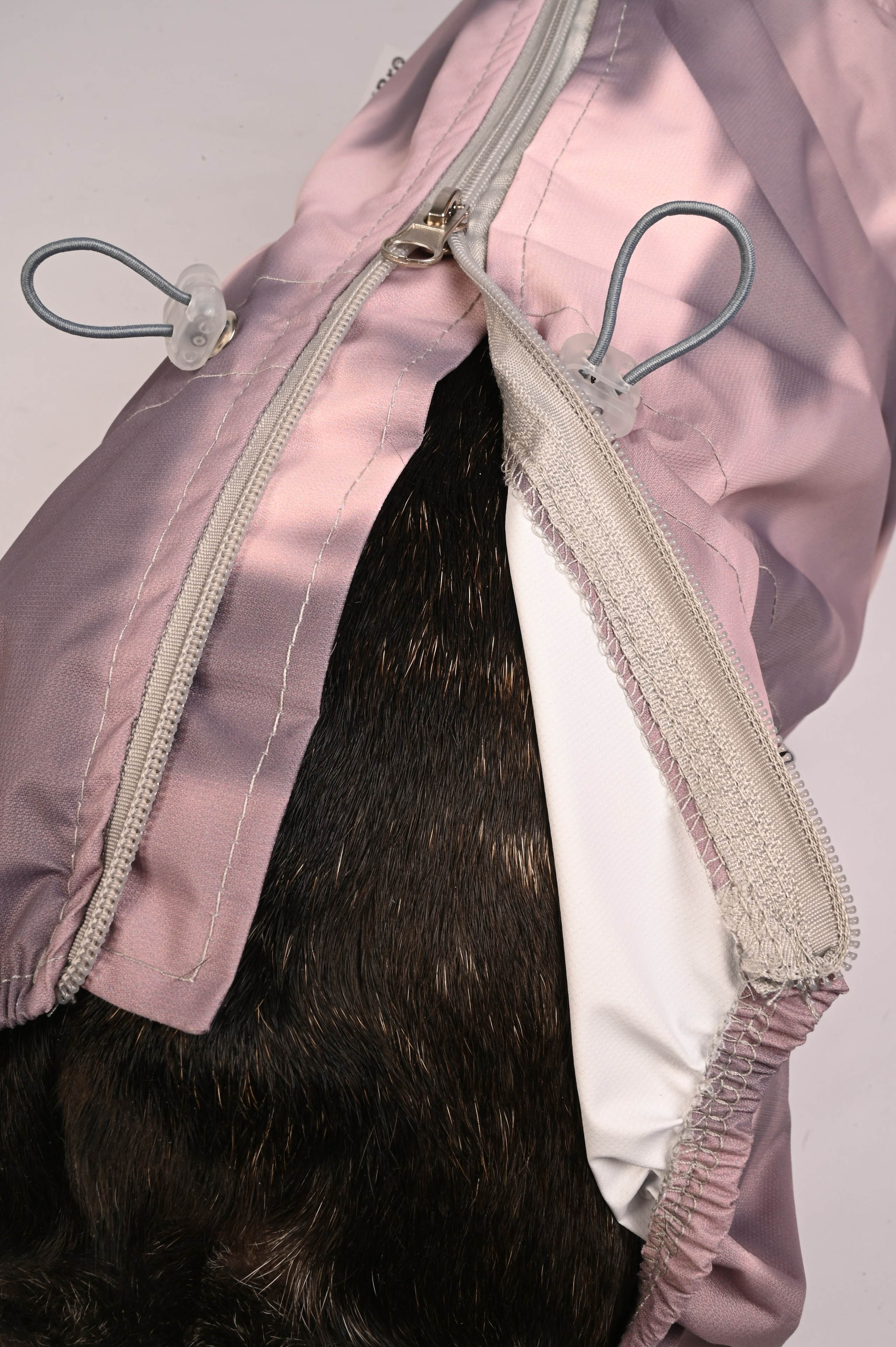 Одежда для собак. Семейный и детский фотограф во Фрязино, Ивантеевке и Щелково Матвеева