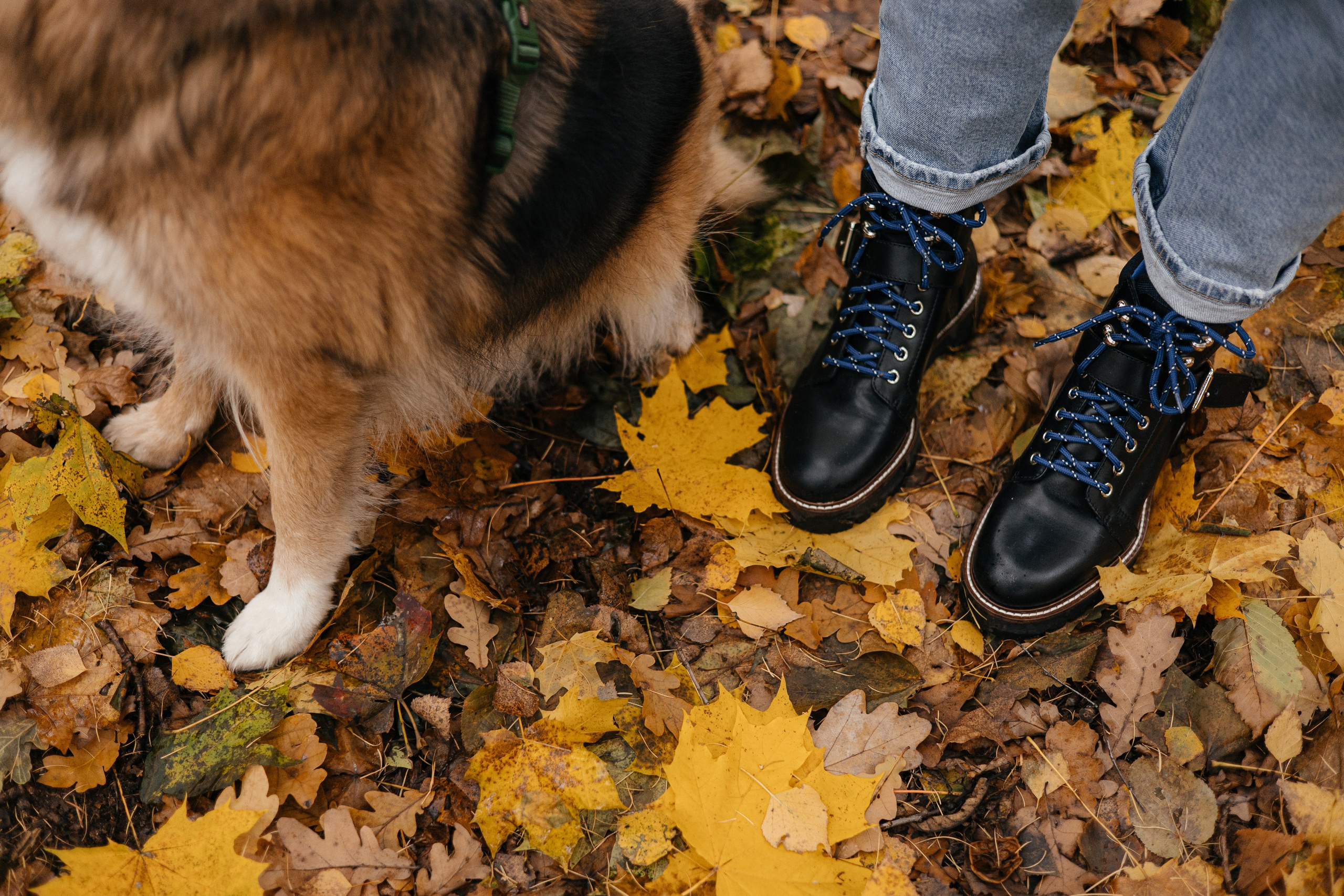 Аня и Ириска. Фотограф Анна Луценко Москва