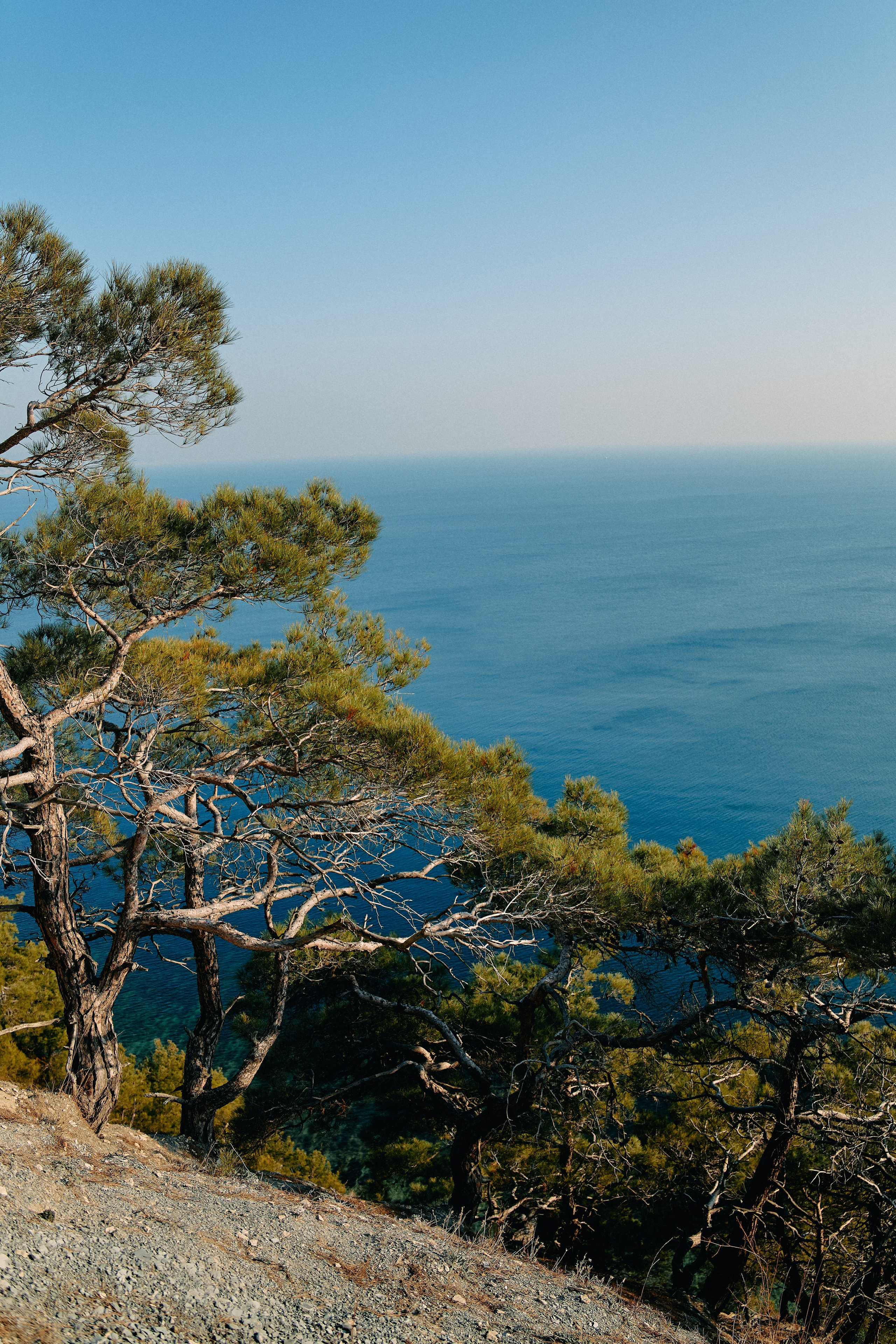 Юг России. Профессиональный Фотограф во Владимире, в Москве и в Суздале — Полина Романычева