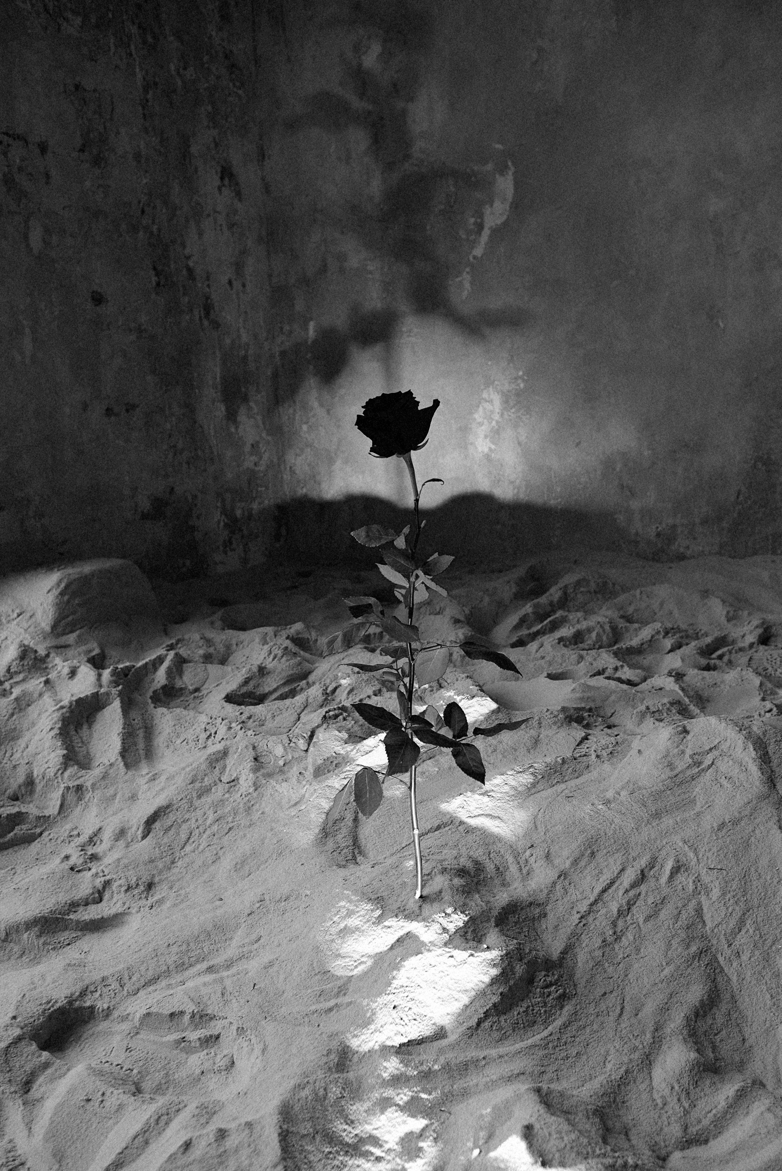 Влада. Фотограф Шудра Яна