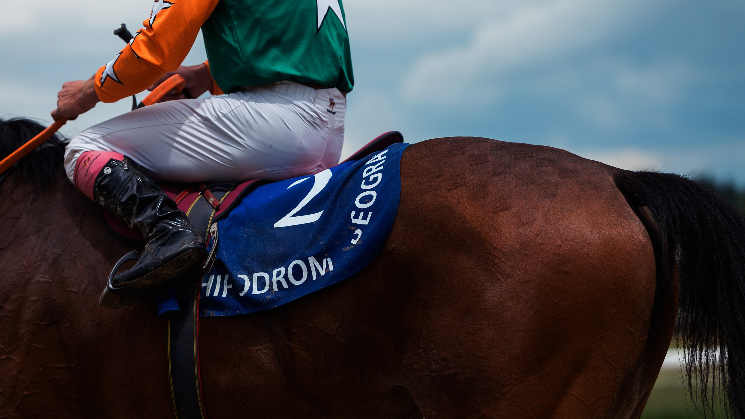 Конный фотограф Alesya Safe