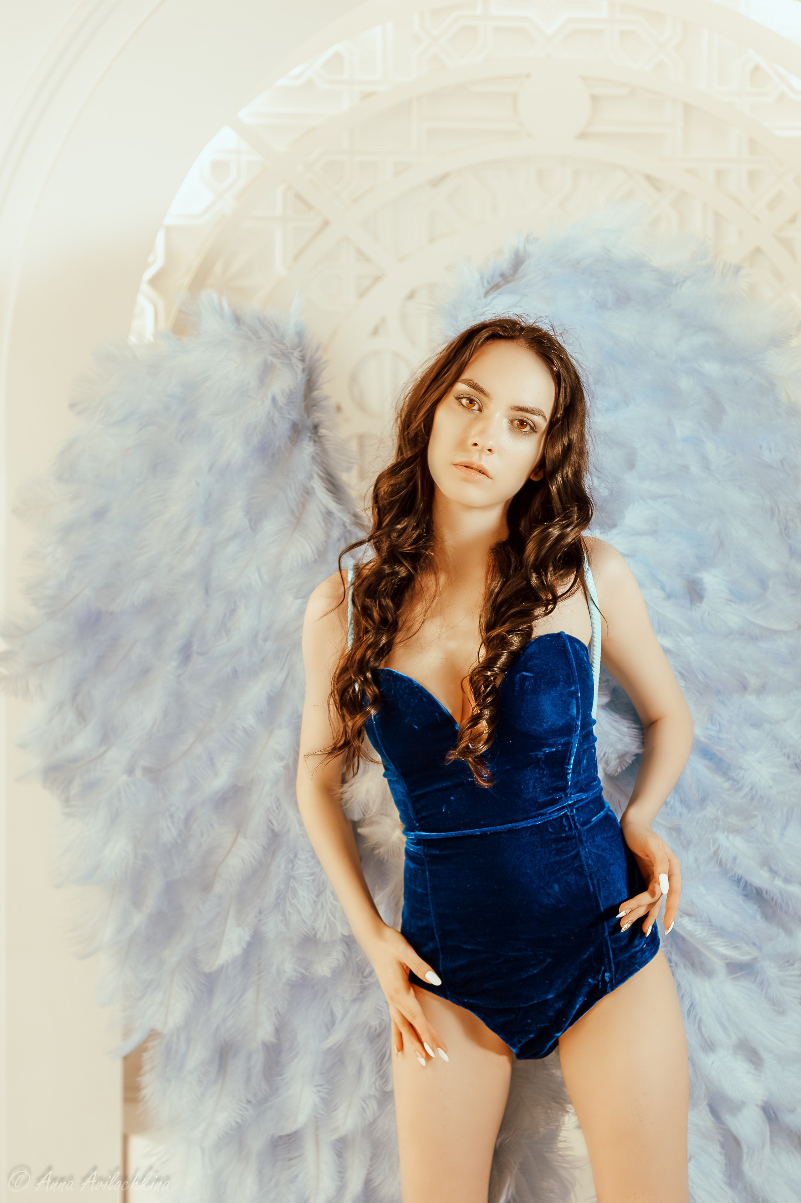 Альбомы стилизованных фотосессий и съёмки с животными. Семейный и свадебный фотограф в Москве и Домодедово Анна Авилочкина