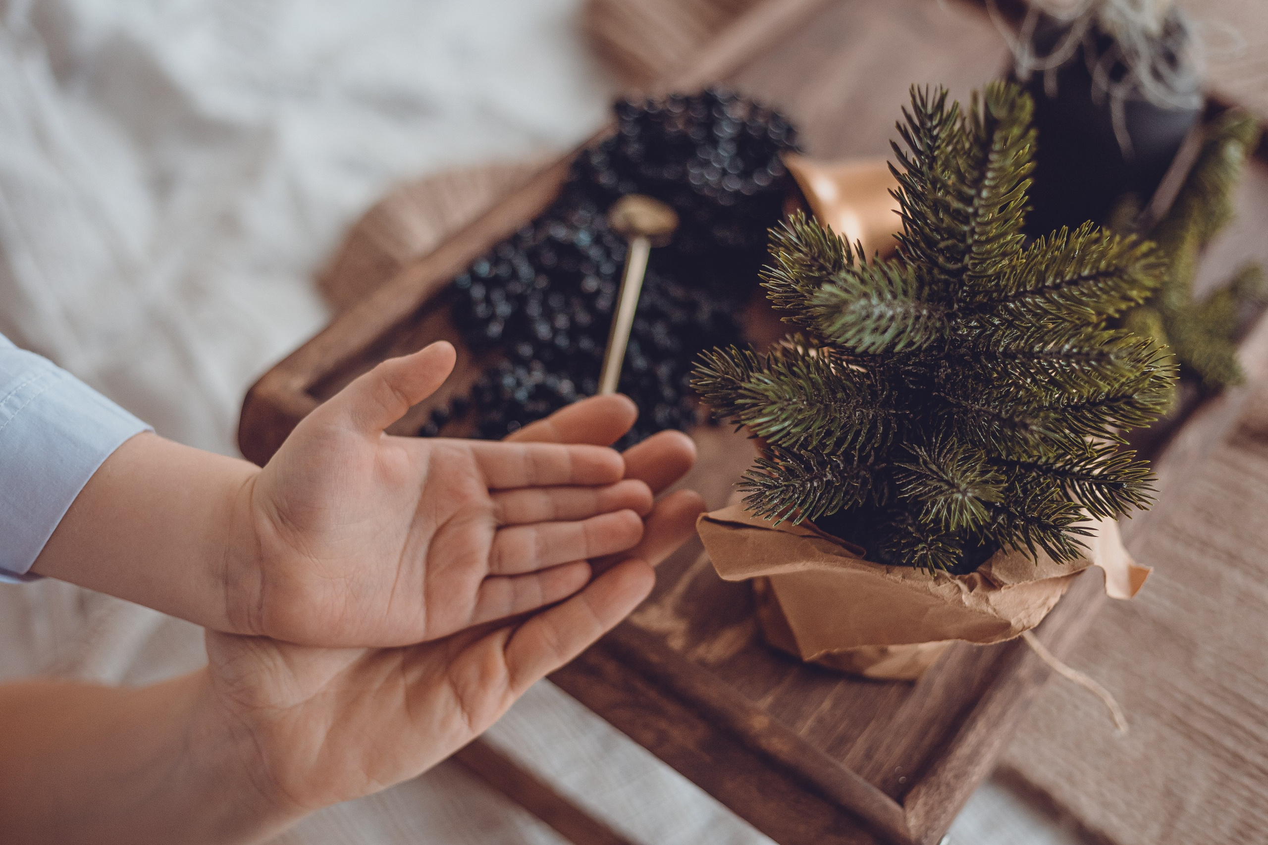 Семейный и бизнес фотограф в Москве Валерия Литвак