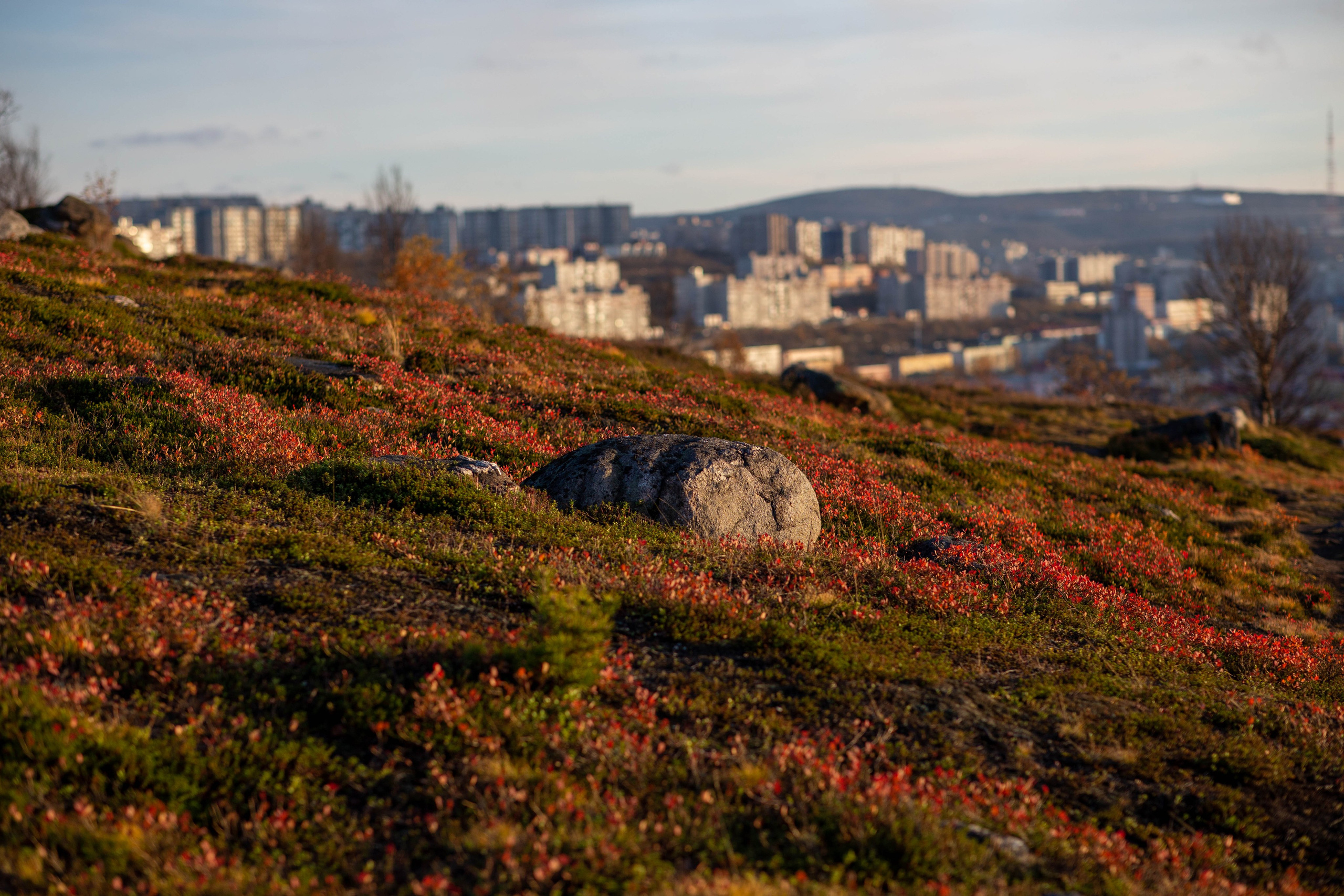 Мурманск. Репортажный и портретный фотограф Михаил Мартиросян