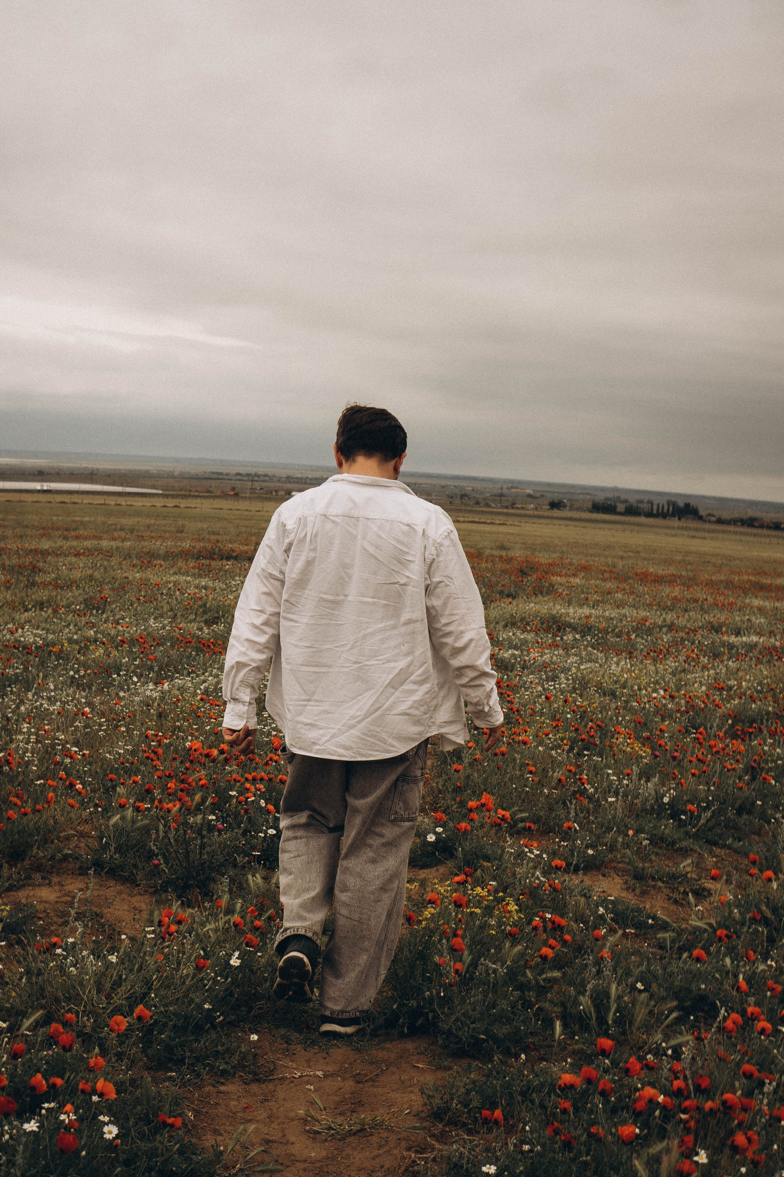 Маки. Профессиональный фотограф, Санкт-Петербург — Виктория Богомолова