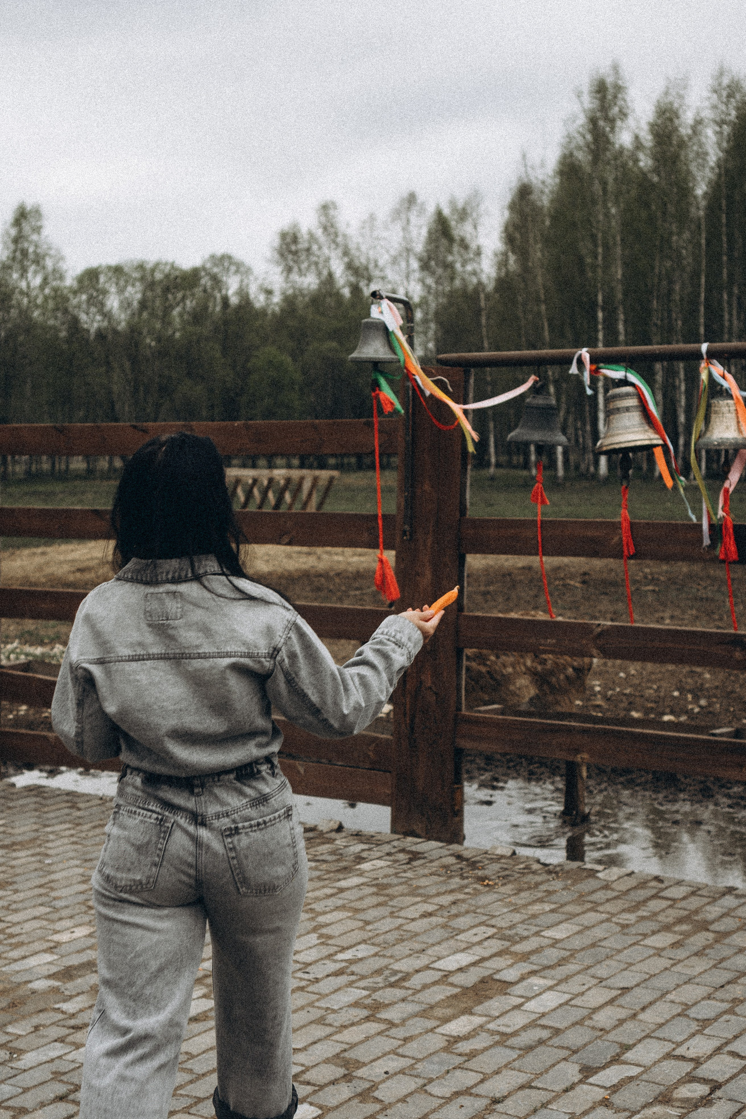 ОЛЕНЬЯ ФЕРМА В ТВЕРИ. Профессиональный фотограф, Санкт-Петербург — Виктория Богомолова