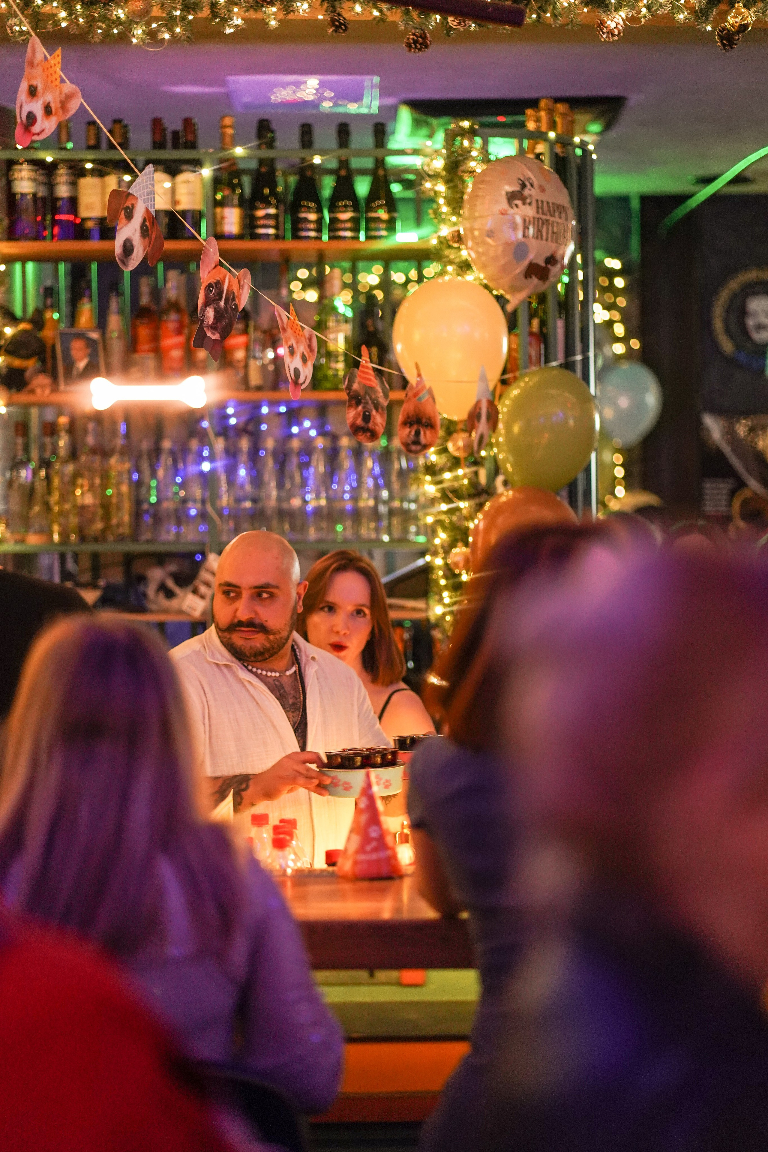 Бар Собаки в тумане. Фотограф