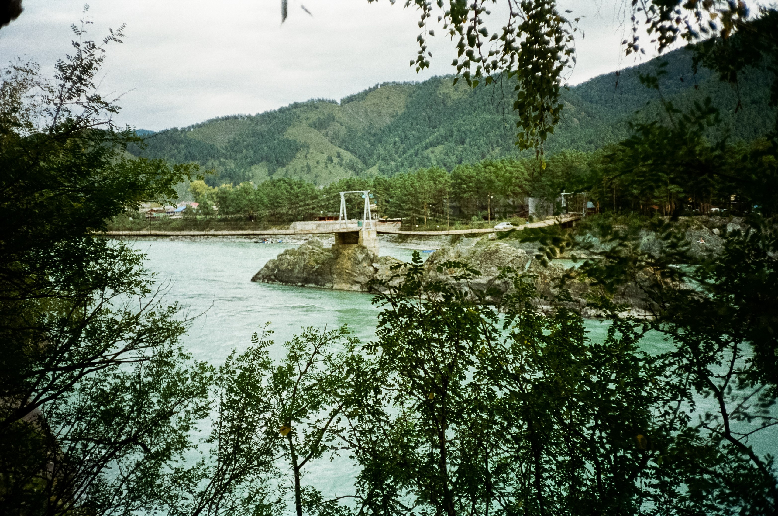 Зубы Дракона и солнечный подарок. Сад пионов. Фотограф-документалист Мария Осокина