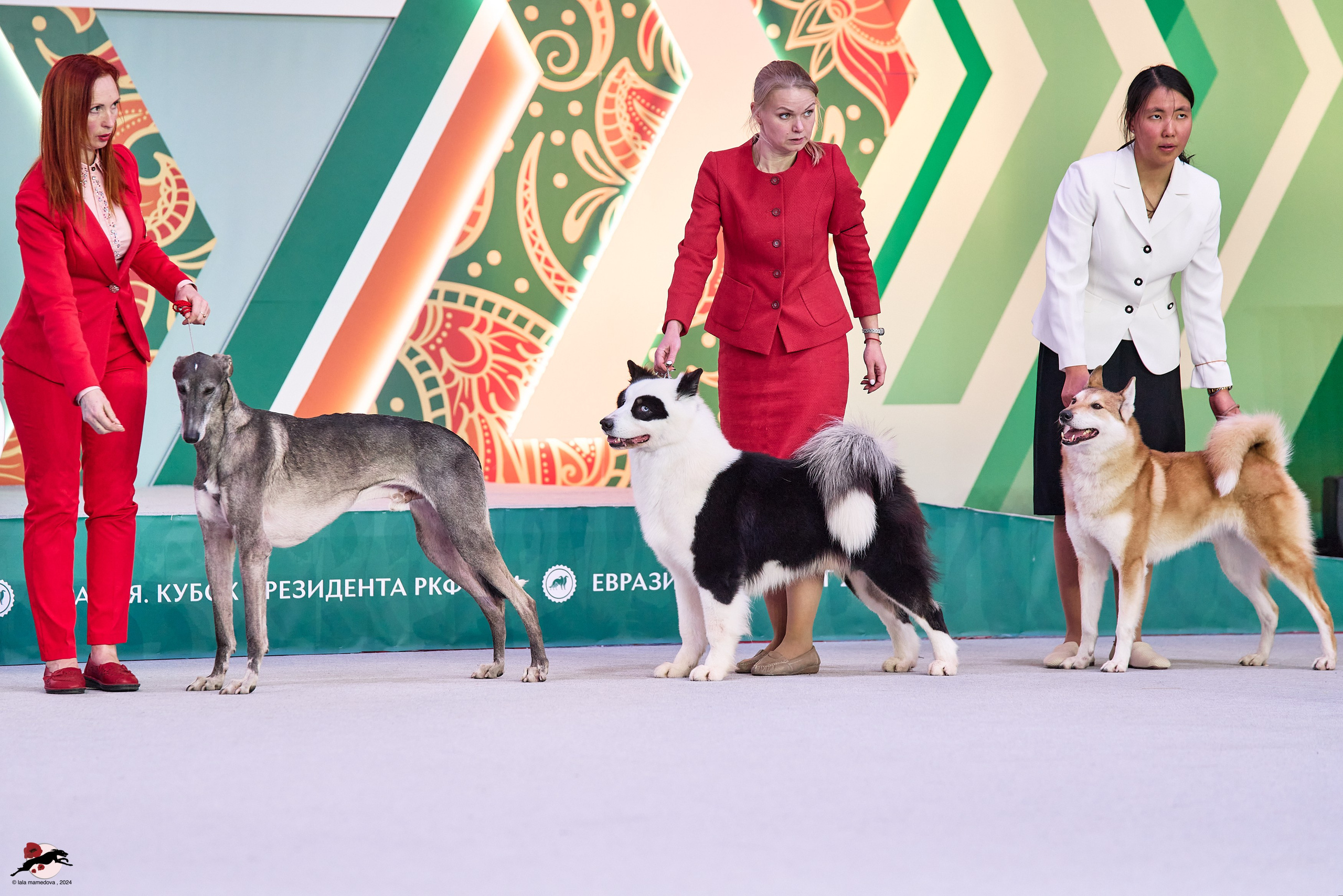 17.11.2024 «ЕВРАЗИЯ. КУБОК СНГ 2024»