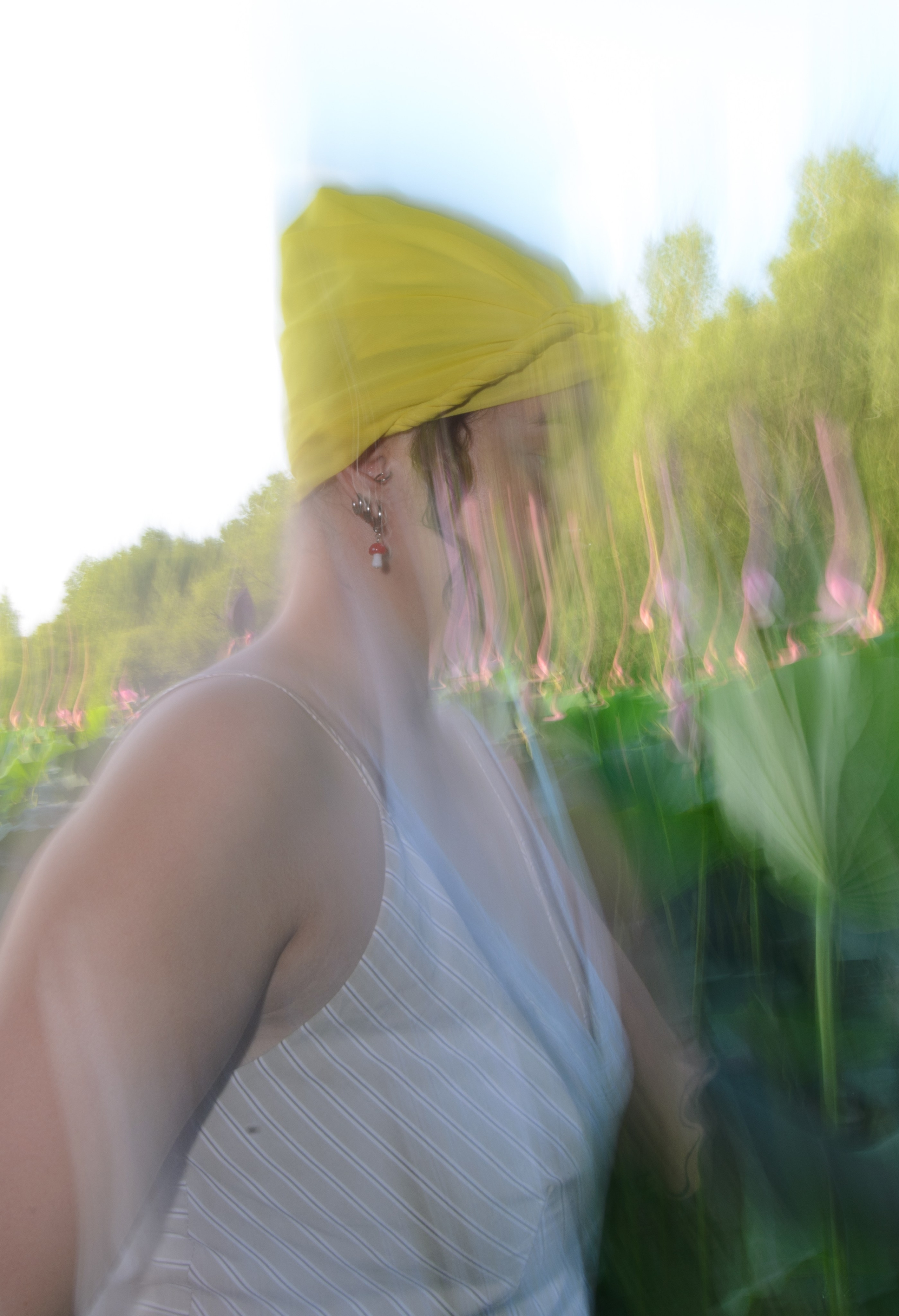 Лотосы. Колентеева Наталья/фотограф