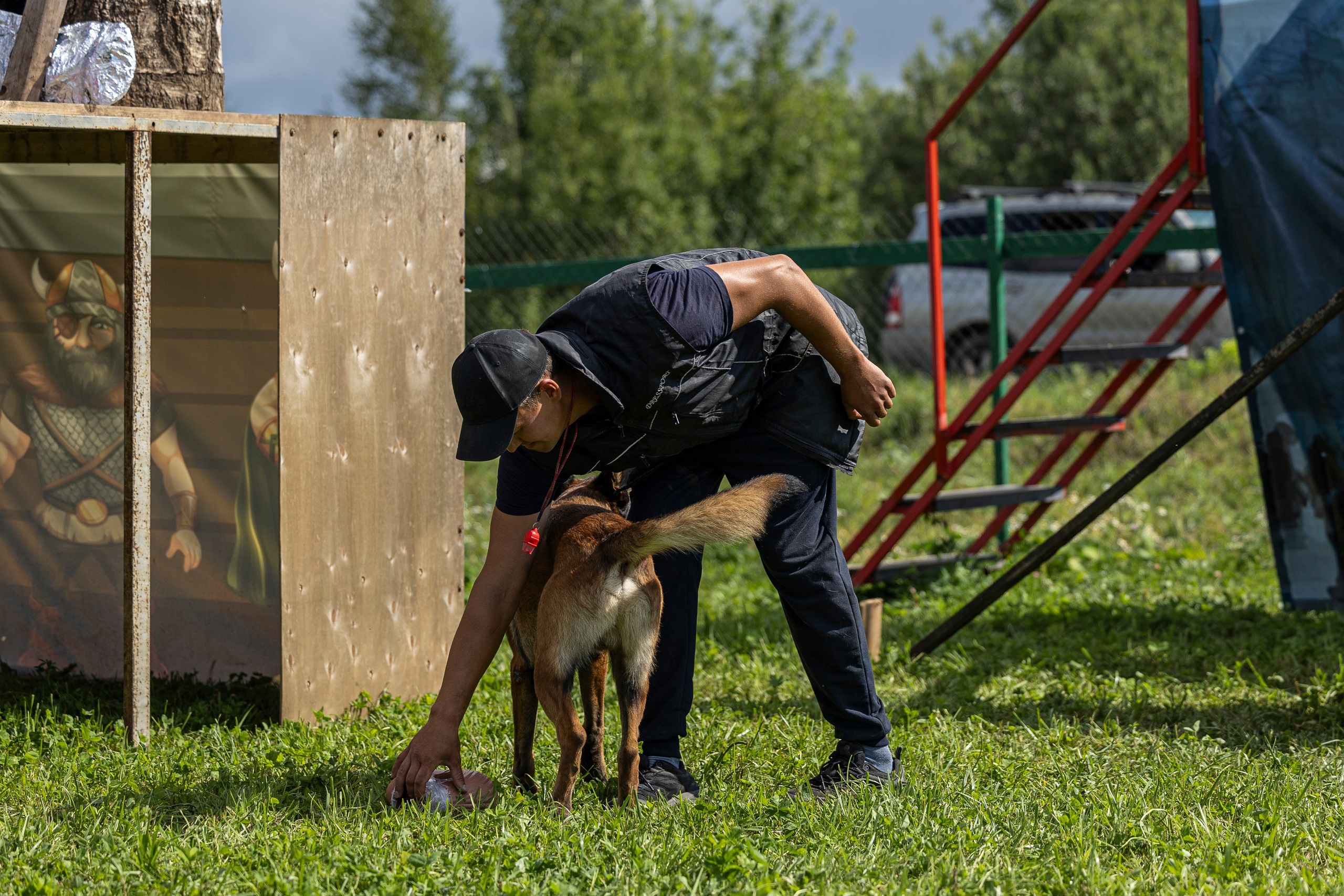 Соревнования по Мондьорингу г. Вологда 10-11.08.2024. Фотограф-анималист Анна Маринич