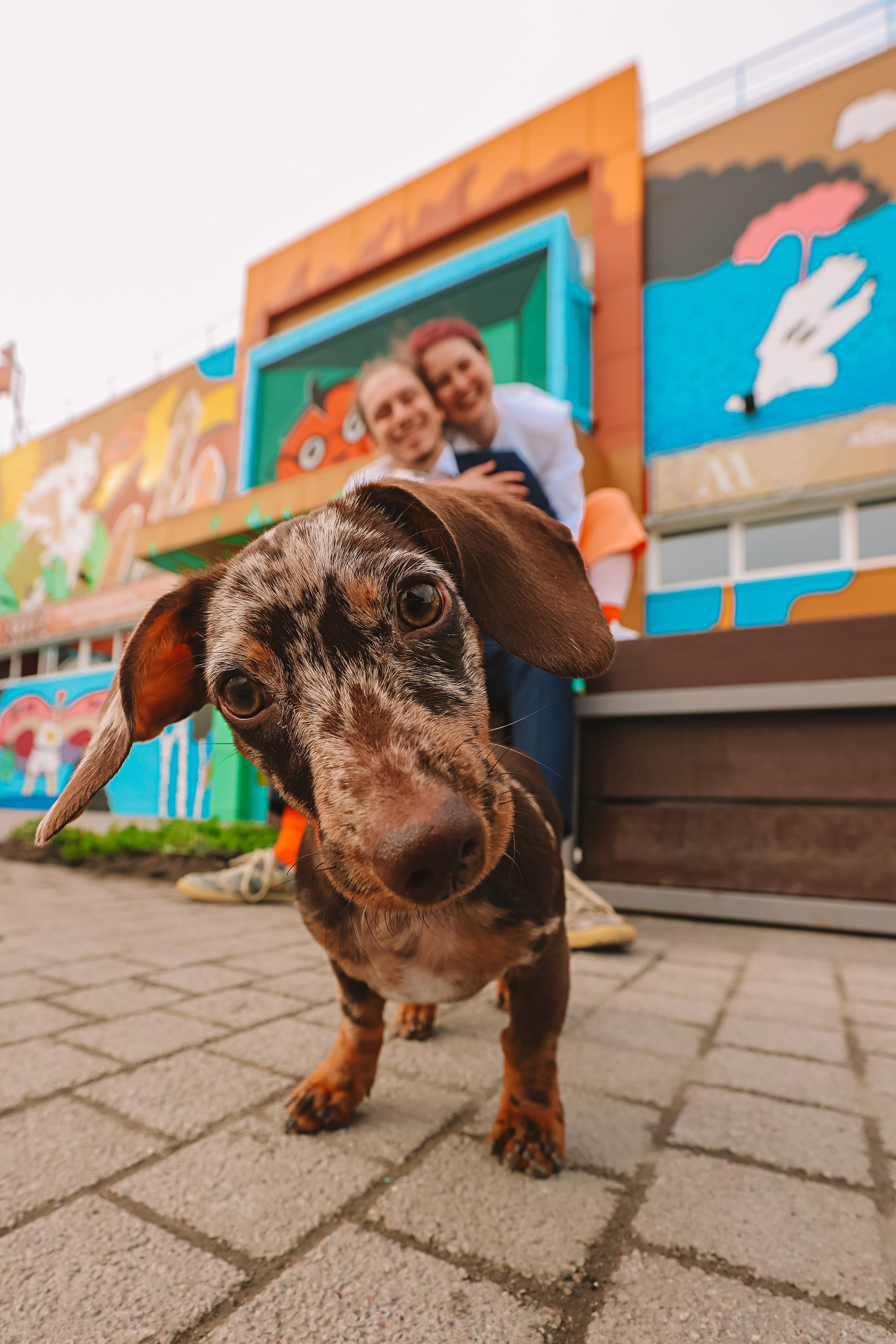 Яркая лав стори. Семейный фотограф Тюмень, фотограф на роды Салмина Мария