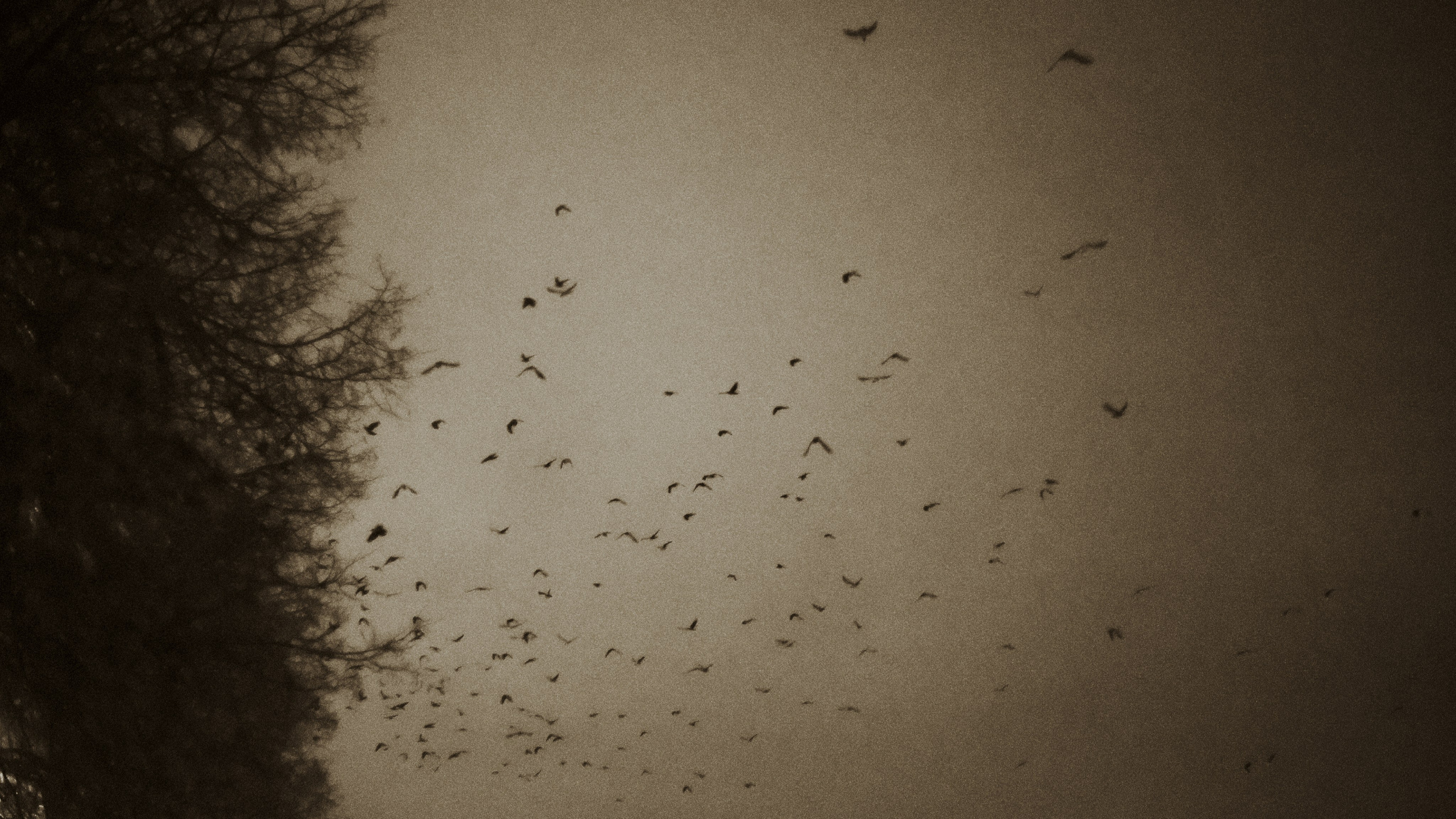 Черно-белое. Миша Печёнкин | фотография