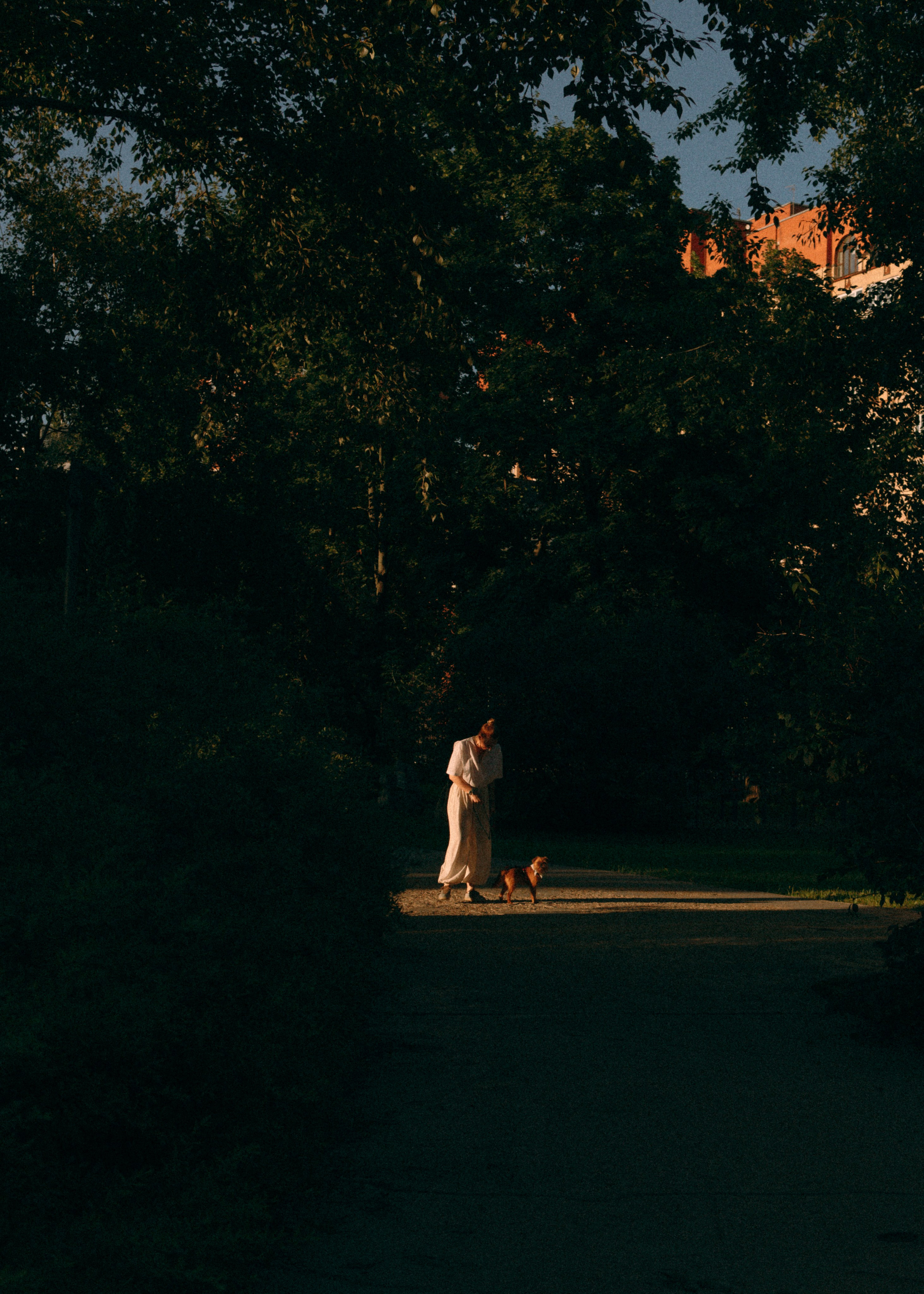 Лена и Альфи. Фотограф-анималист Ксения Воробьева, Москва