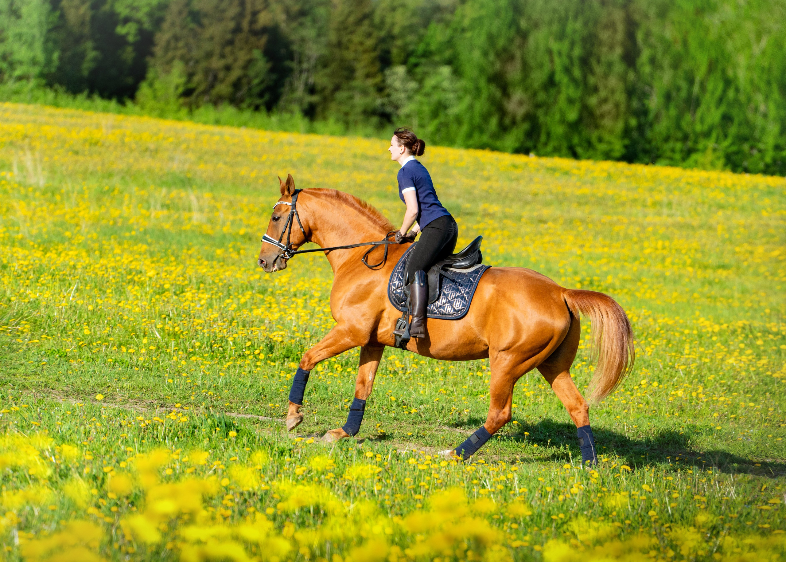 Тренировка. Фотограф Дарья Соколовская
