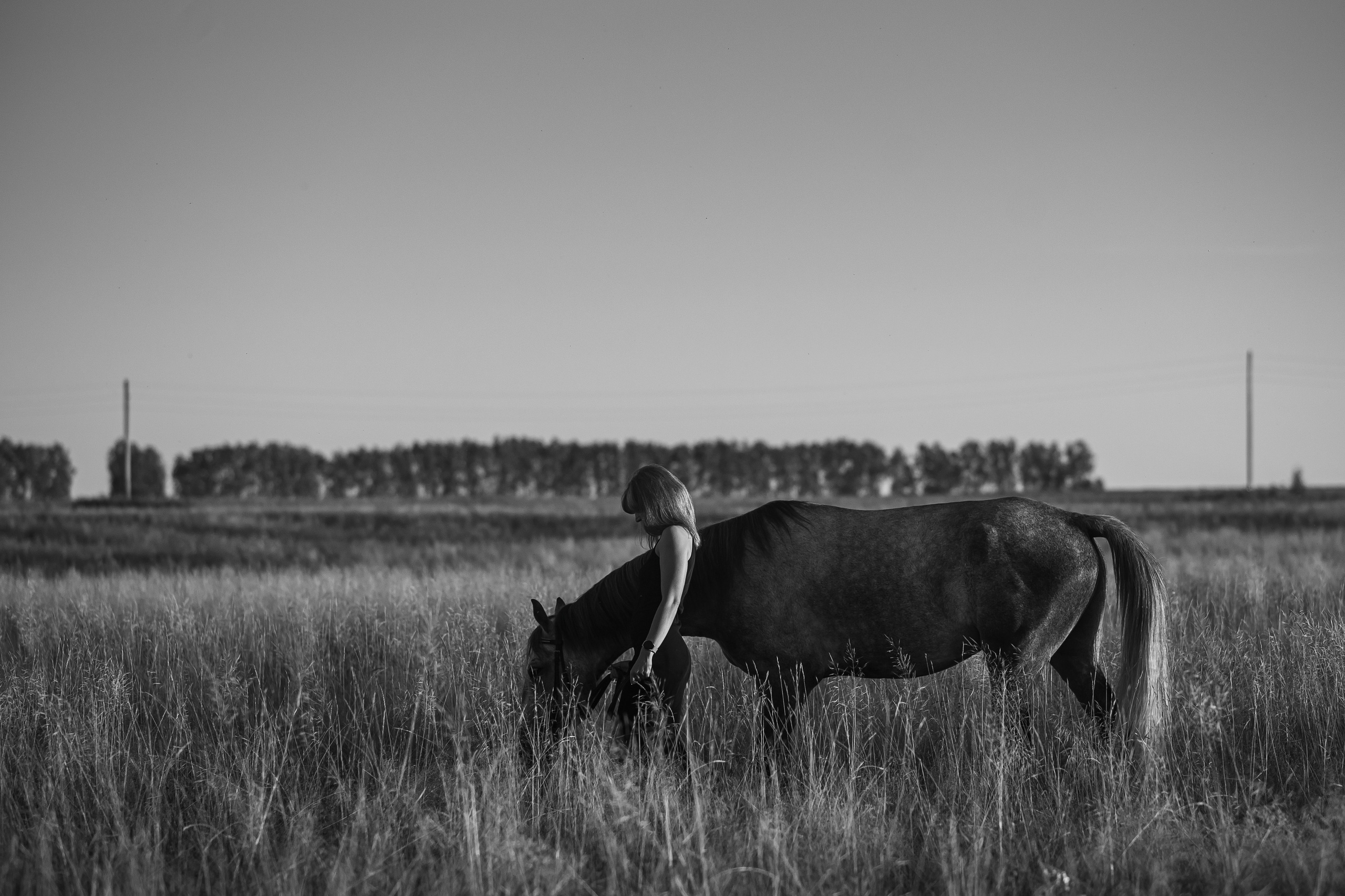 Аня и Дакар — 06.09.2024. Фотограф — Анималист | Анна Абрамова