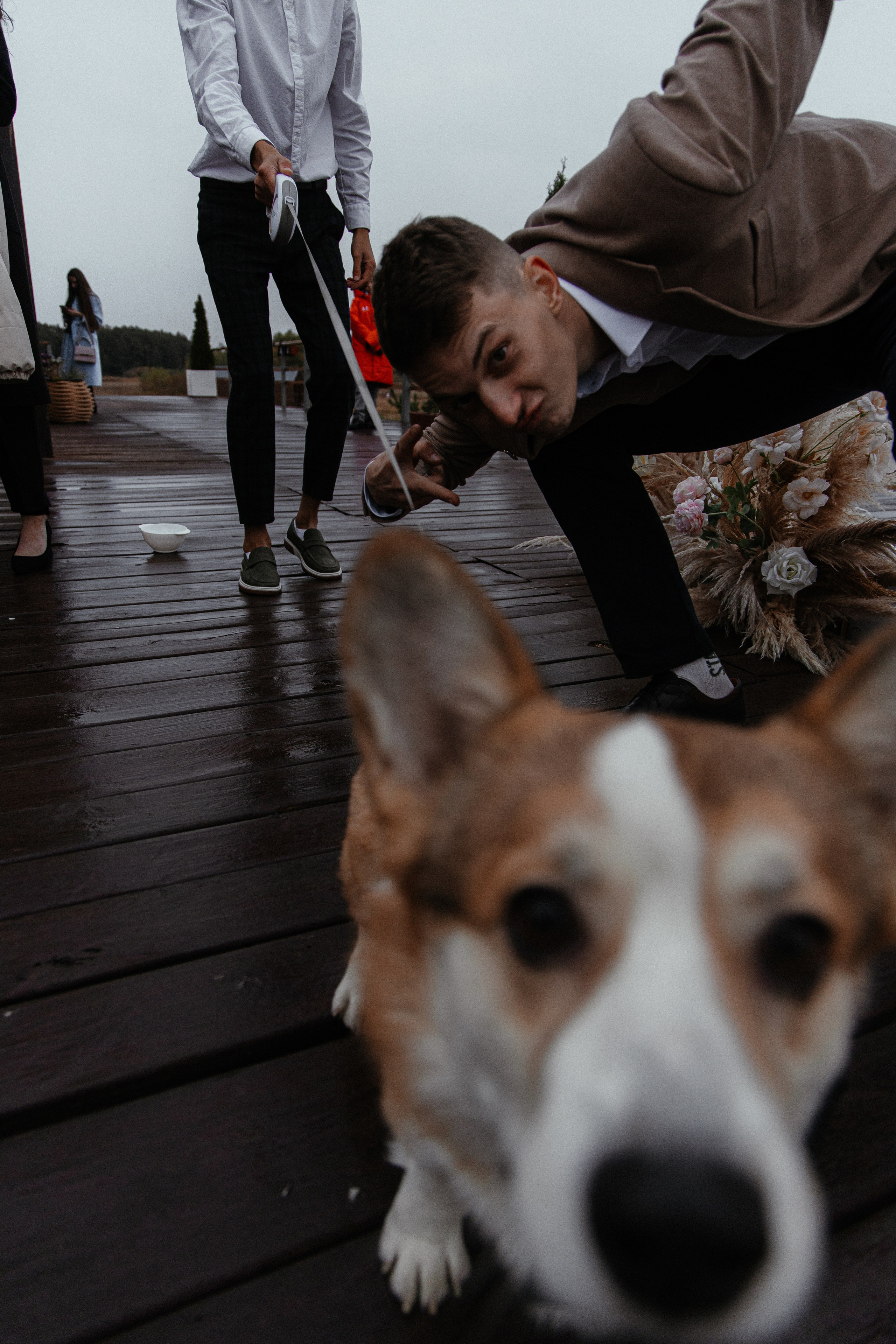 Свидетель Корги. Артём Бачурин — свадебный фотограф Воронеж