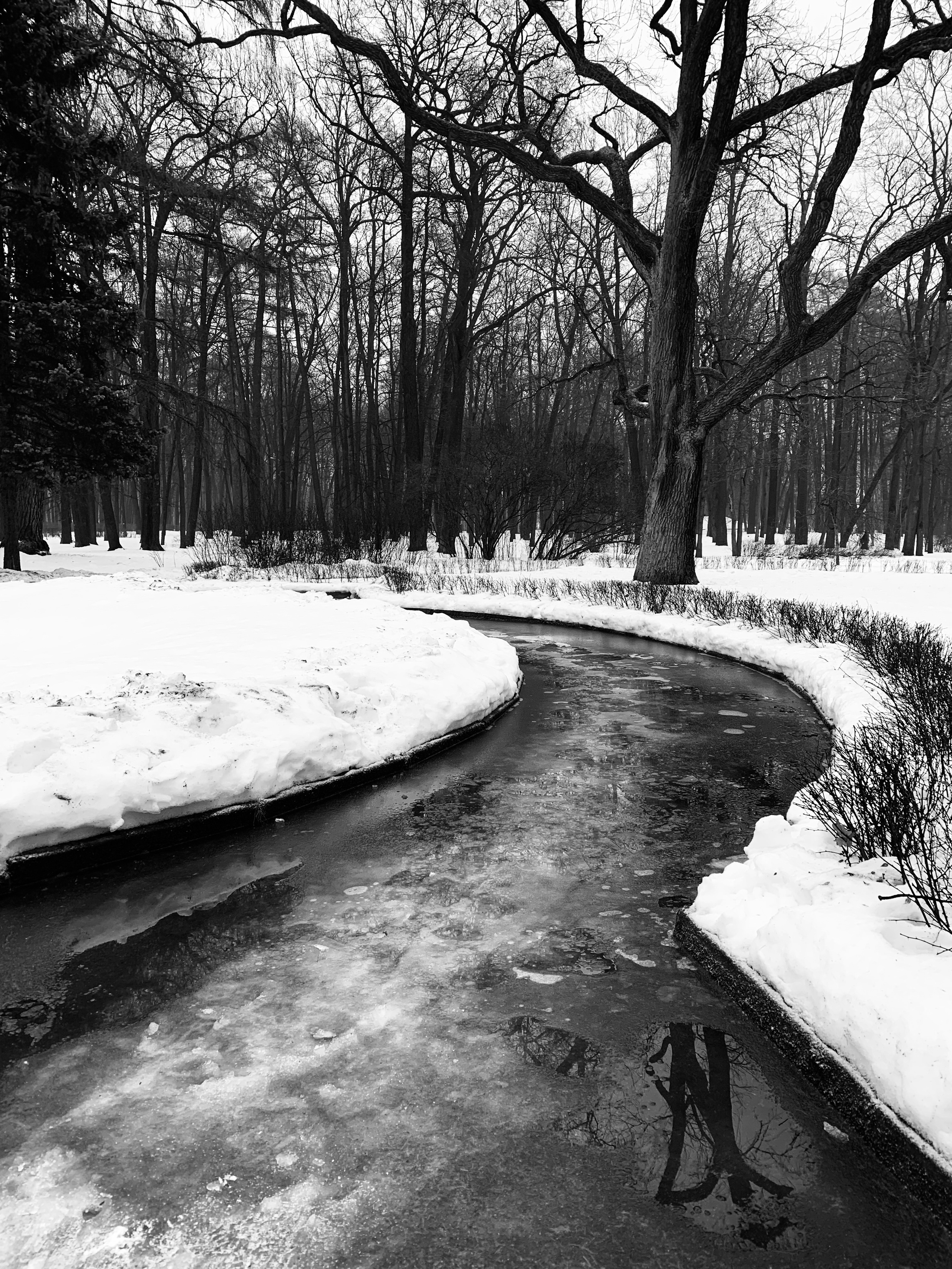 LESOTECHNICHESKII PARK. Свадебный фотограф в Санкт-Петербурге Илья Михеев