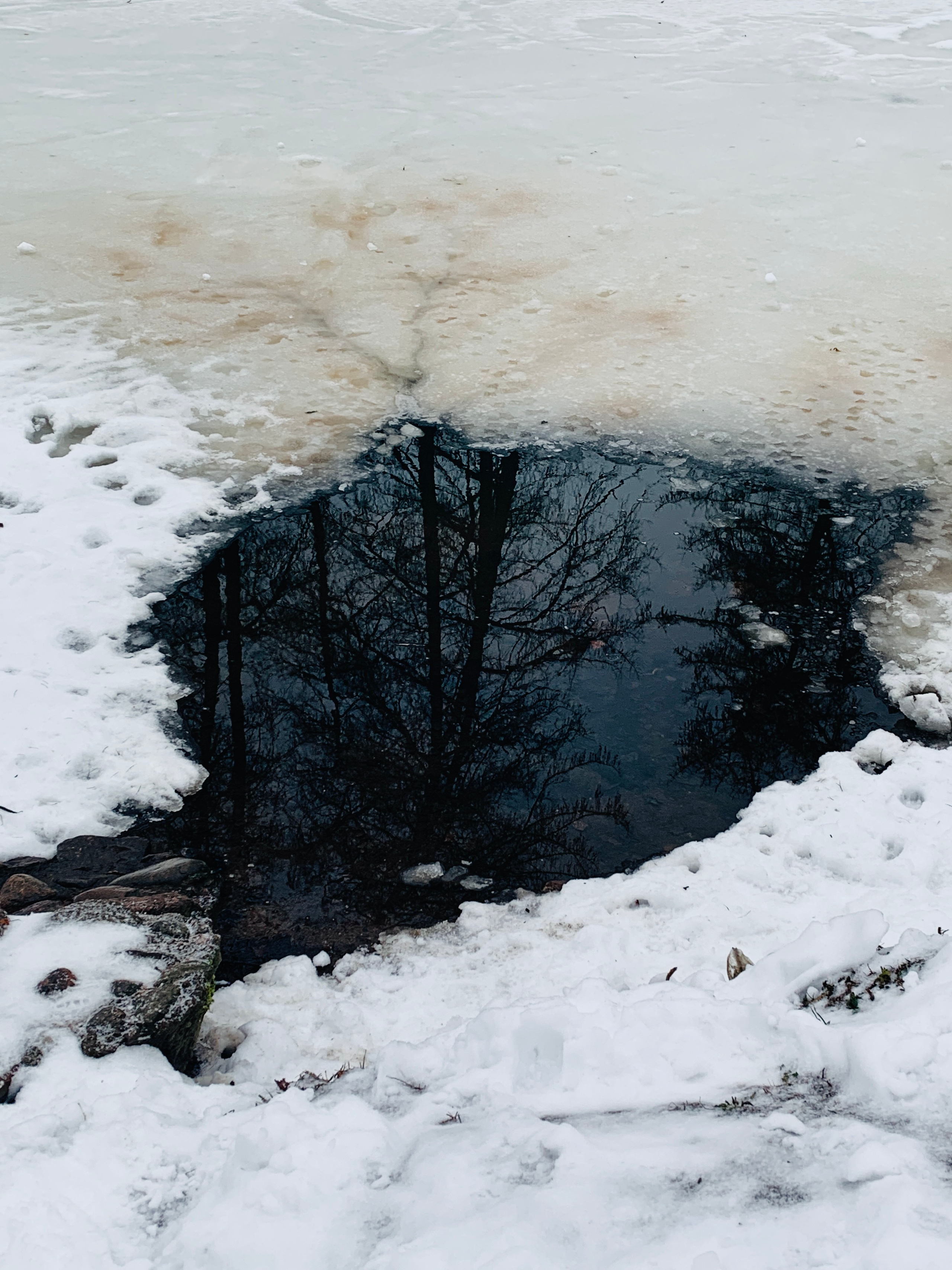 LESOTECHNICHESKII PARK. Свадебный фотограф в Санкт-Петербурге Илья Михеев