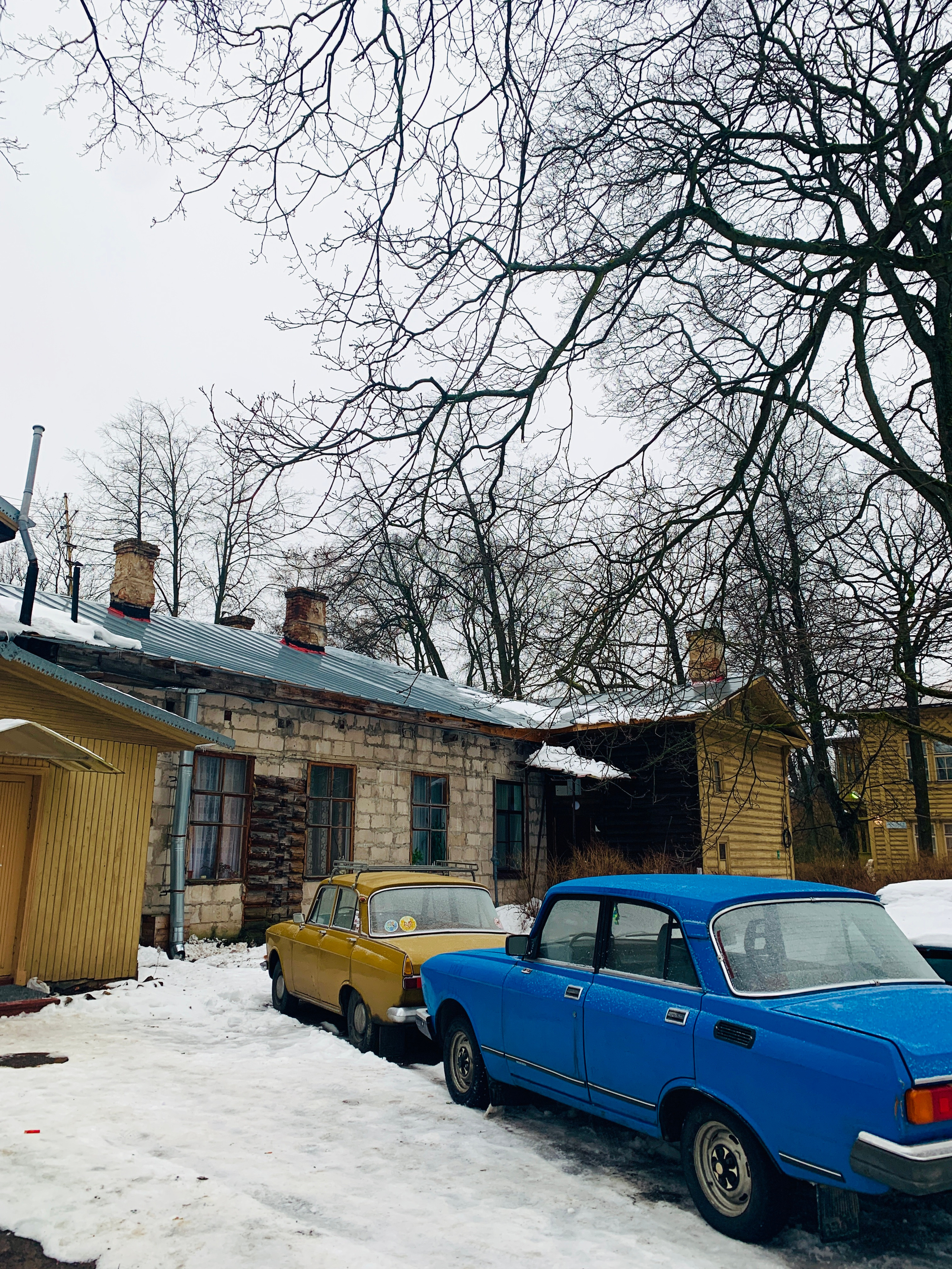 LESOTECHNICHESKII PARK. Свадебный фотограф в Санкт-Петербурге Илья Михеев