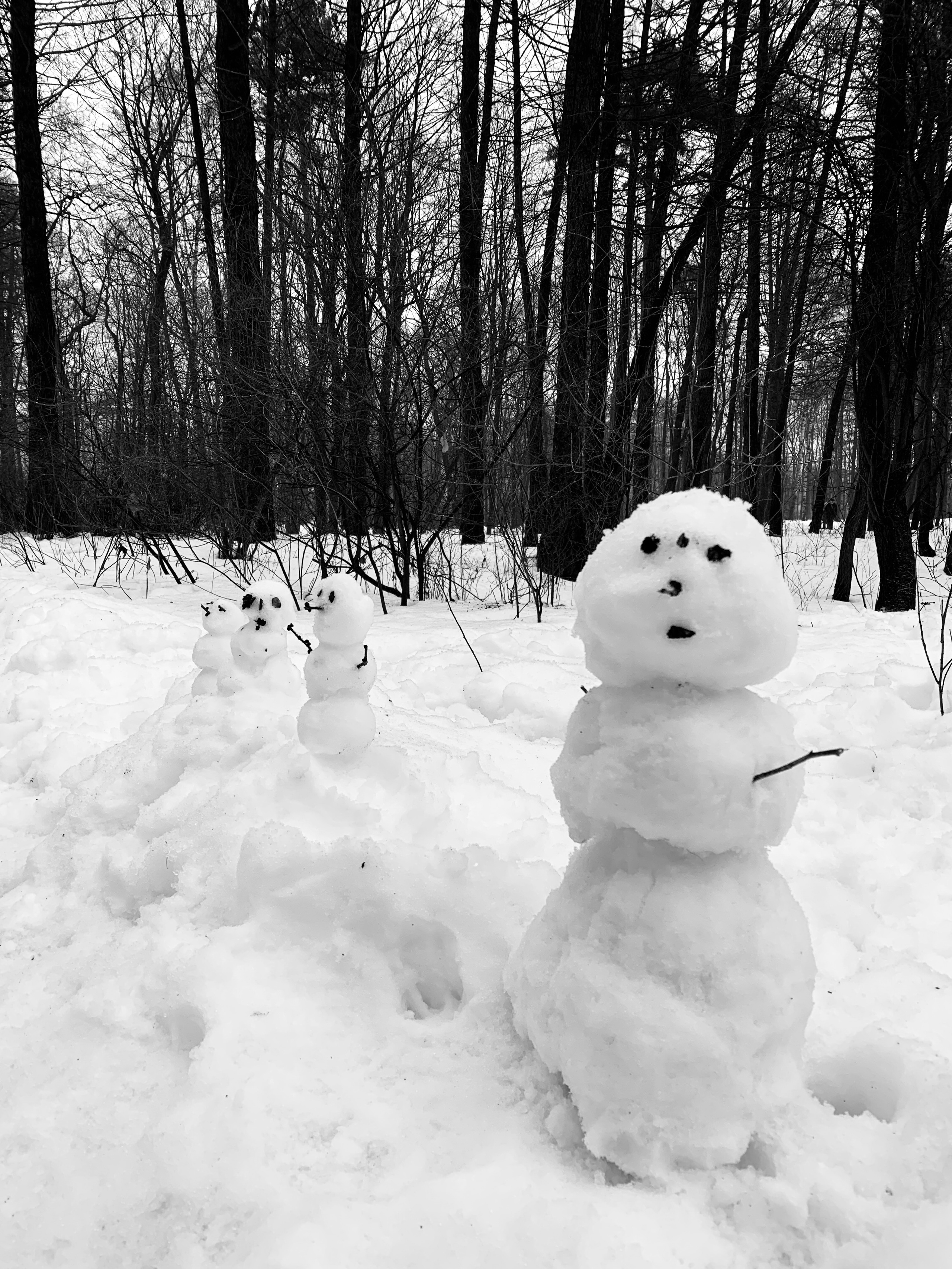 LESOTECHNICHESKII PARK. Свадебный фотограф в Санкт-Петербурге Илья Михеев
