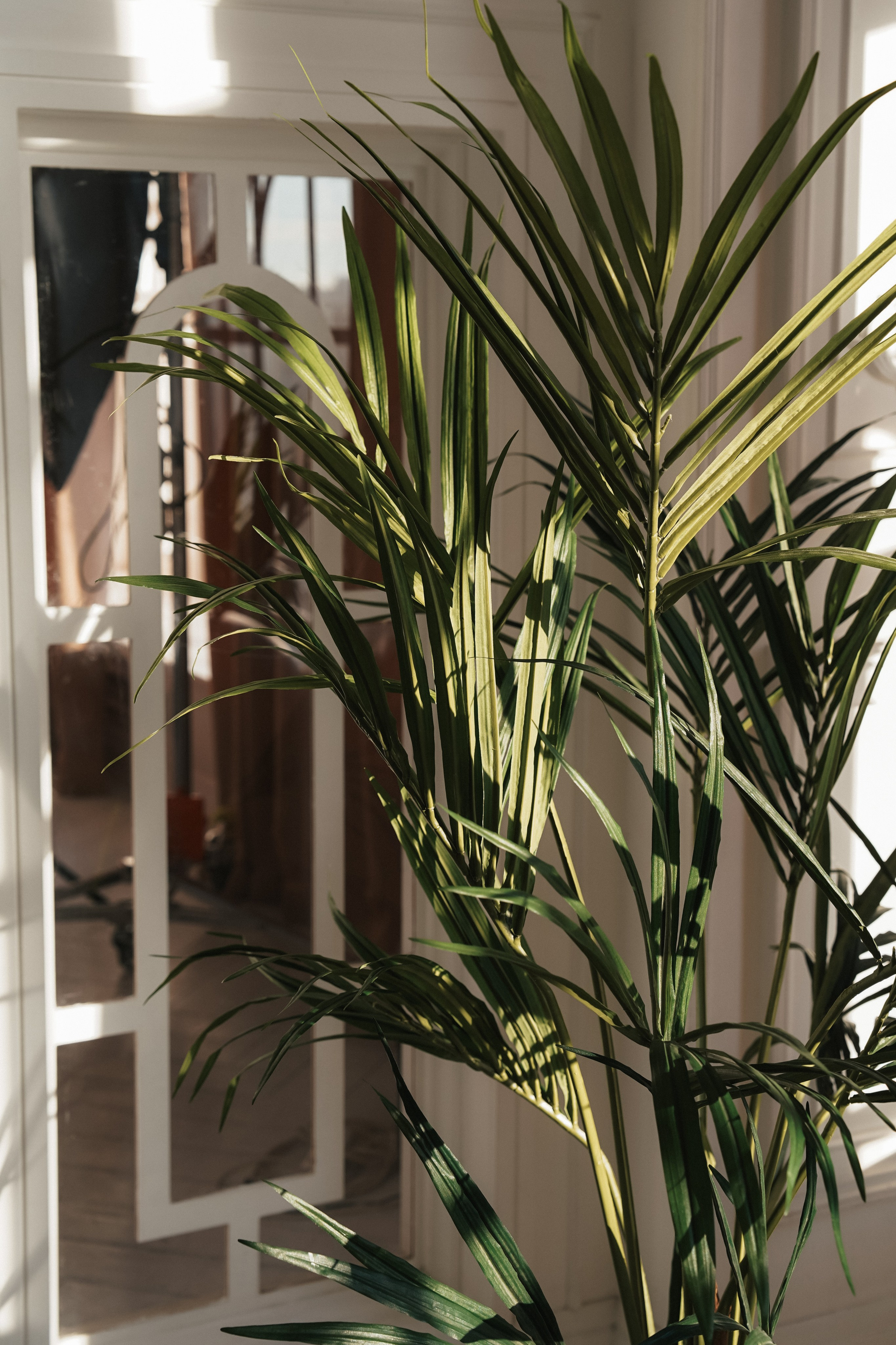 Sofia. Фотограф в Москве и МО