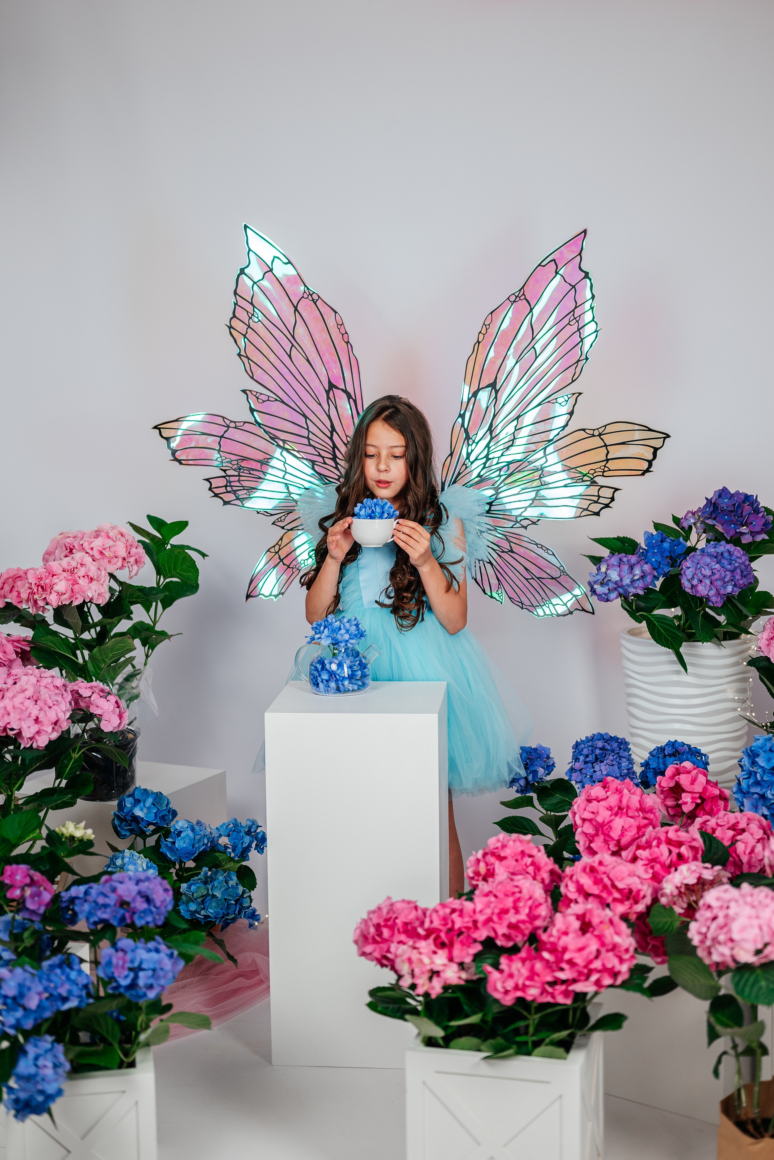 Вероника и гортензии. Семейный фотограф в Краснодаре