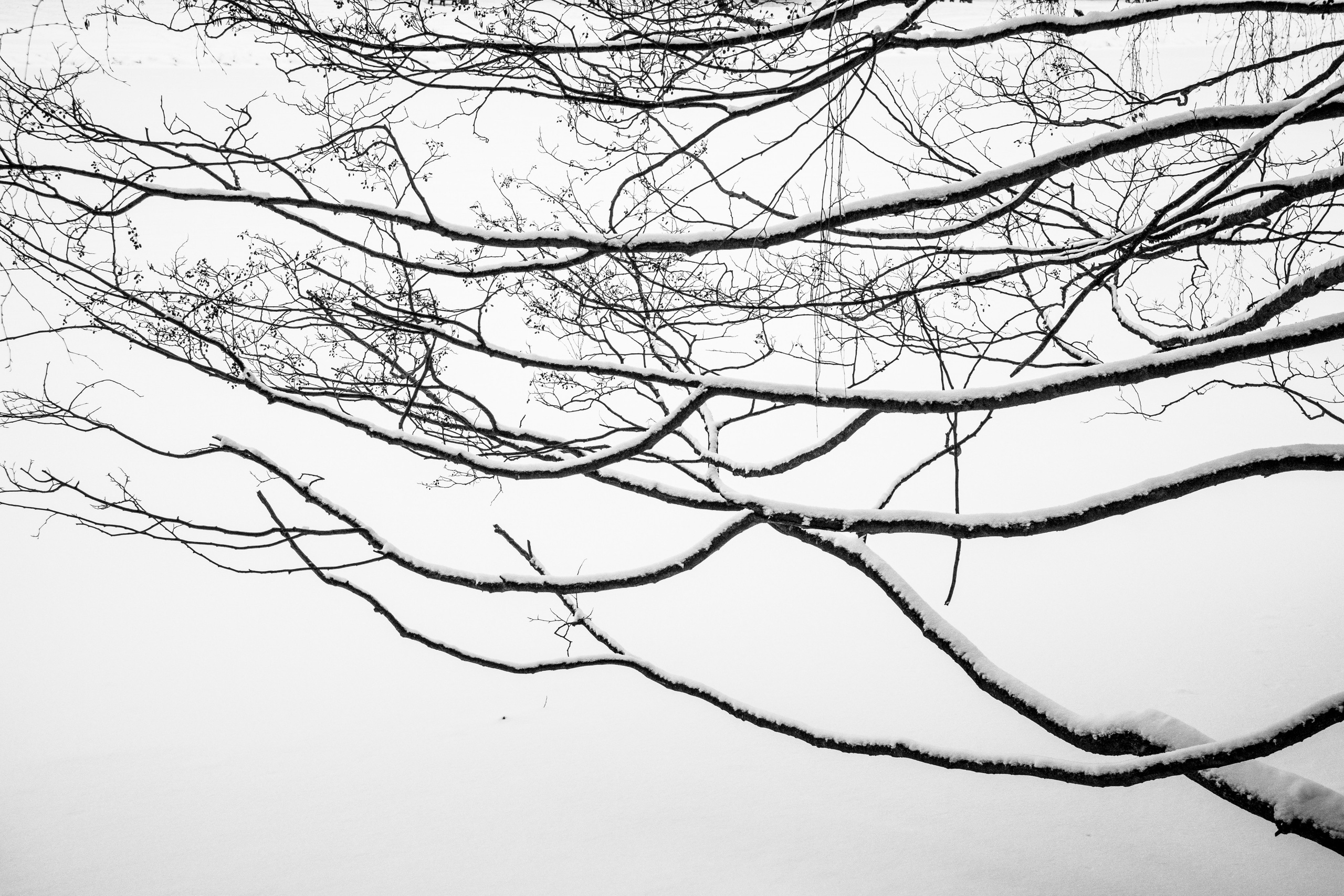 Декабрь. Портретный и архитектурный фотограф в Москве и Санкт-Петербурге