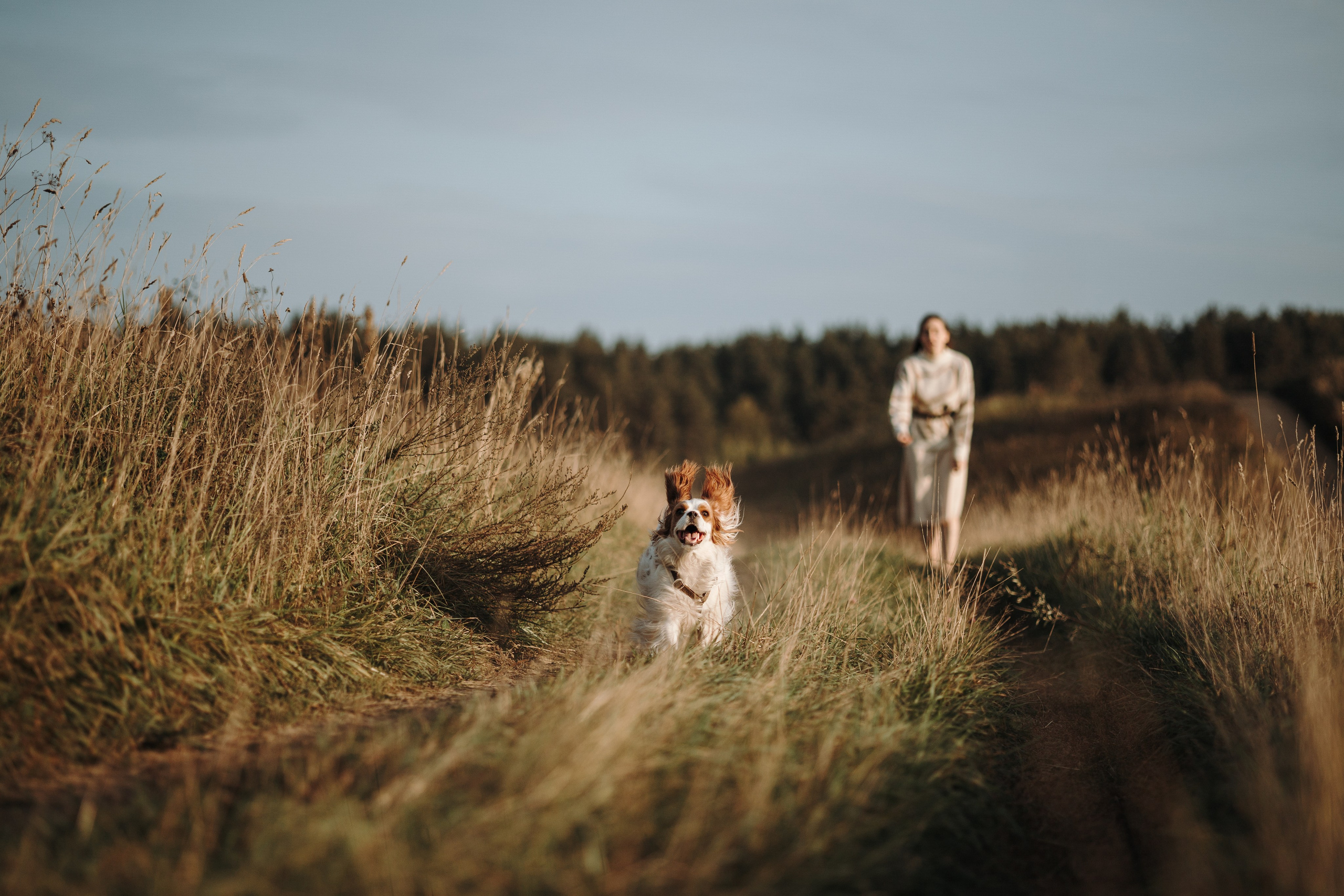 Влада и Белла. Фотограф — Анималист | Санкт-Петербург
