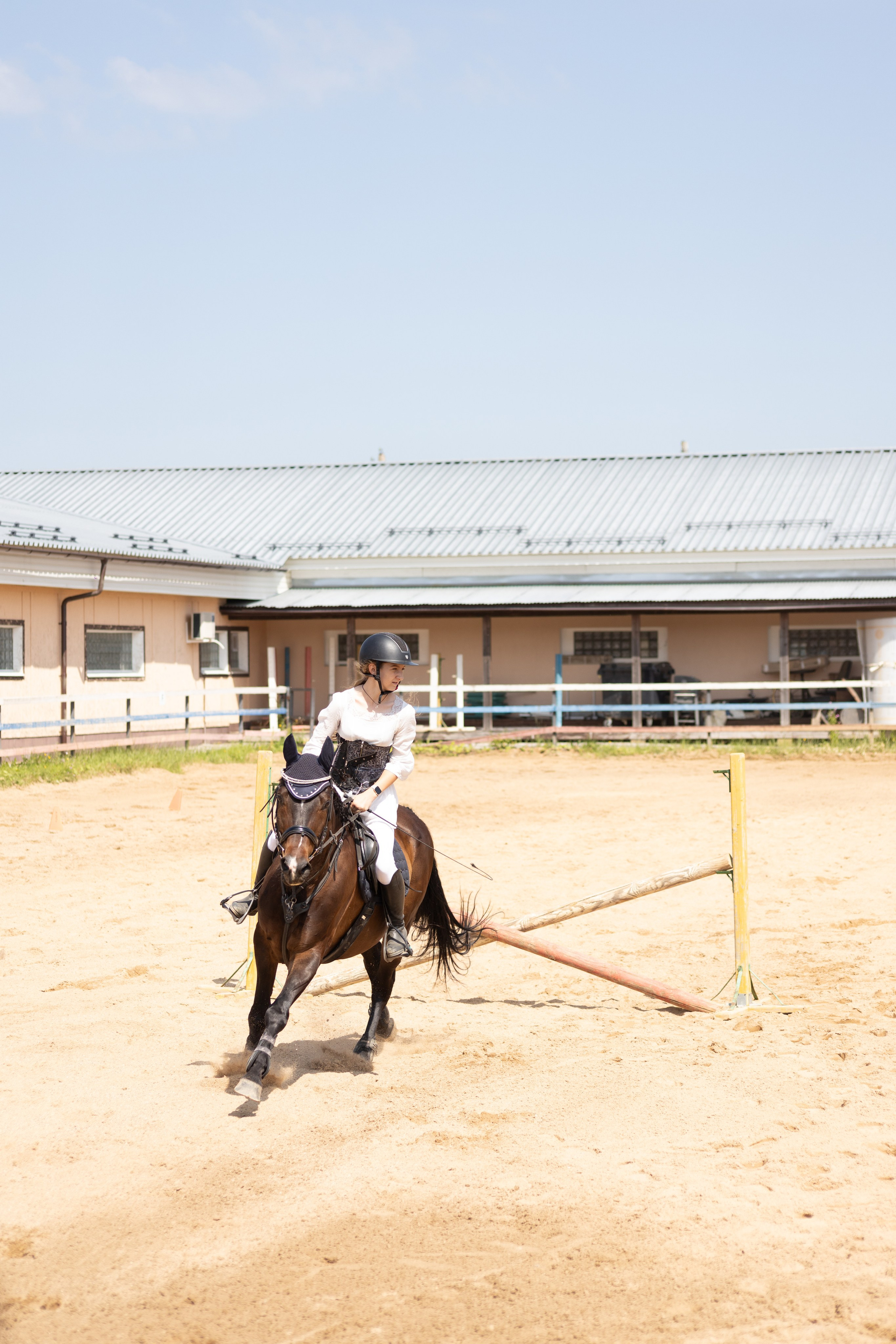 Конюшня. Фотограф в Москве и Истре