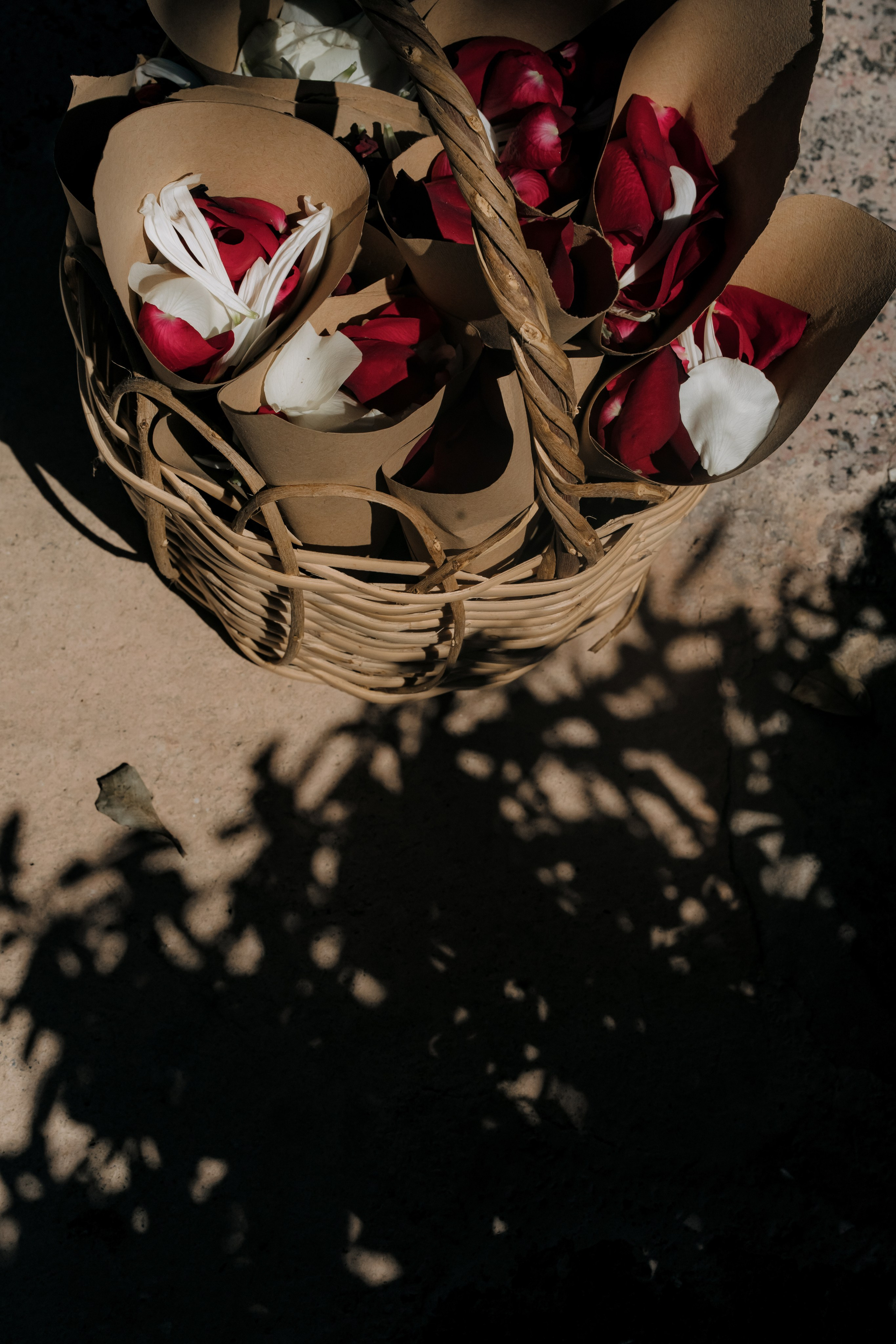 Where tulips meet birch trees. Wedding & Documentary Photographer based in Nuremberg — available across Europe & Turkey | Vitalii Nasonov