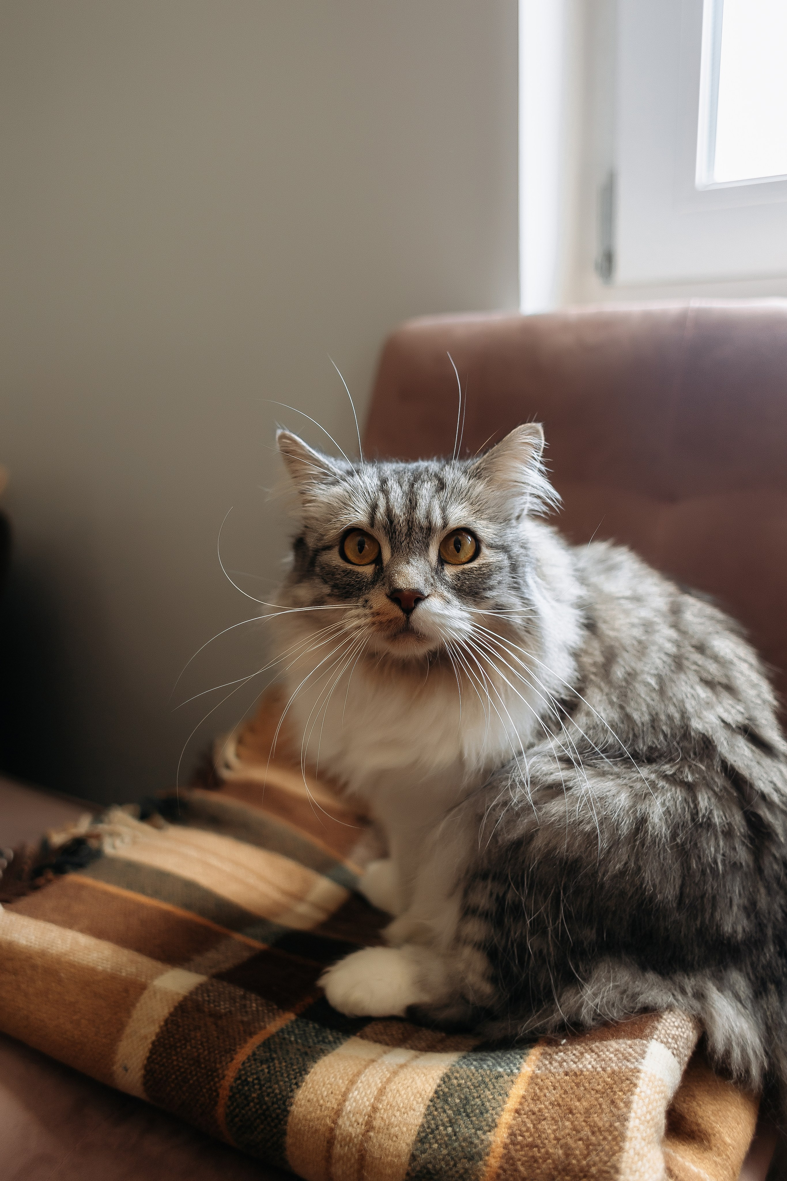 Момент навсегда. Фотограф Алексей Миронов