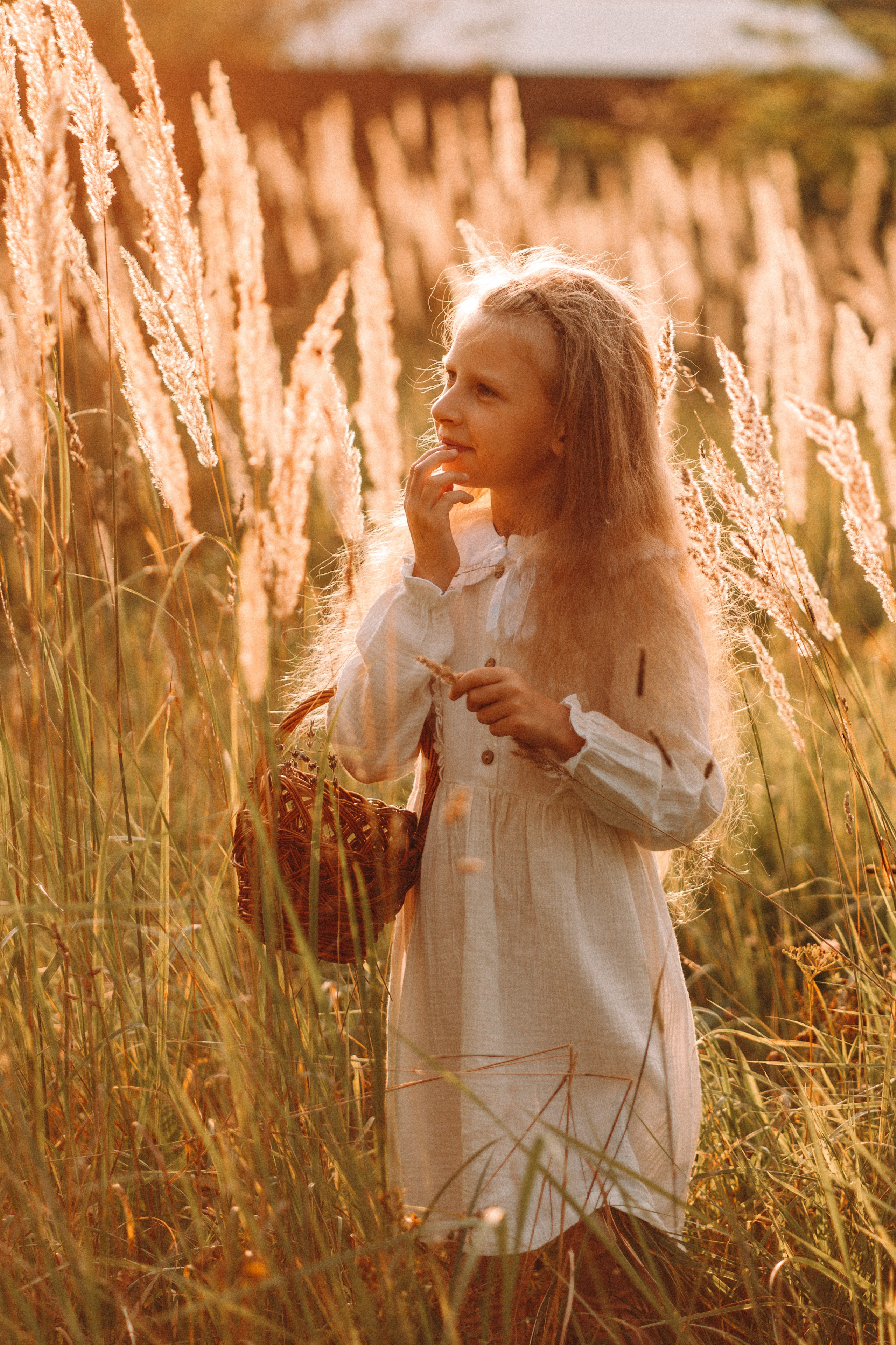 Летнее золото в волосах. Главная