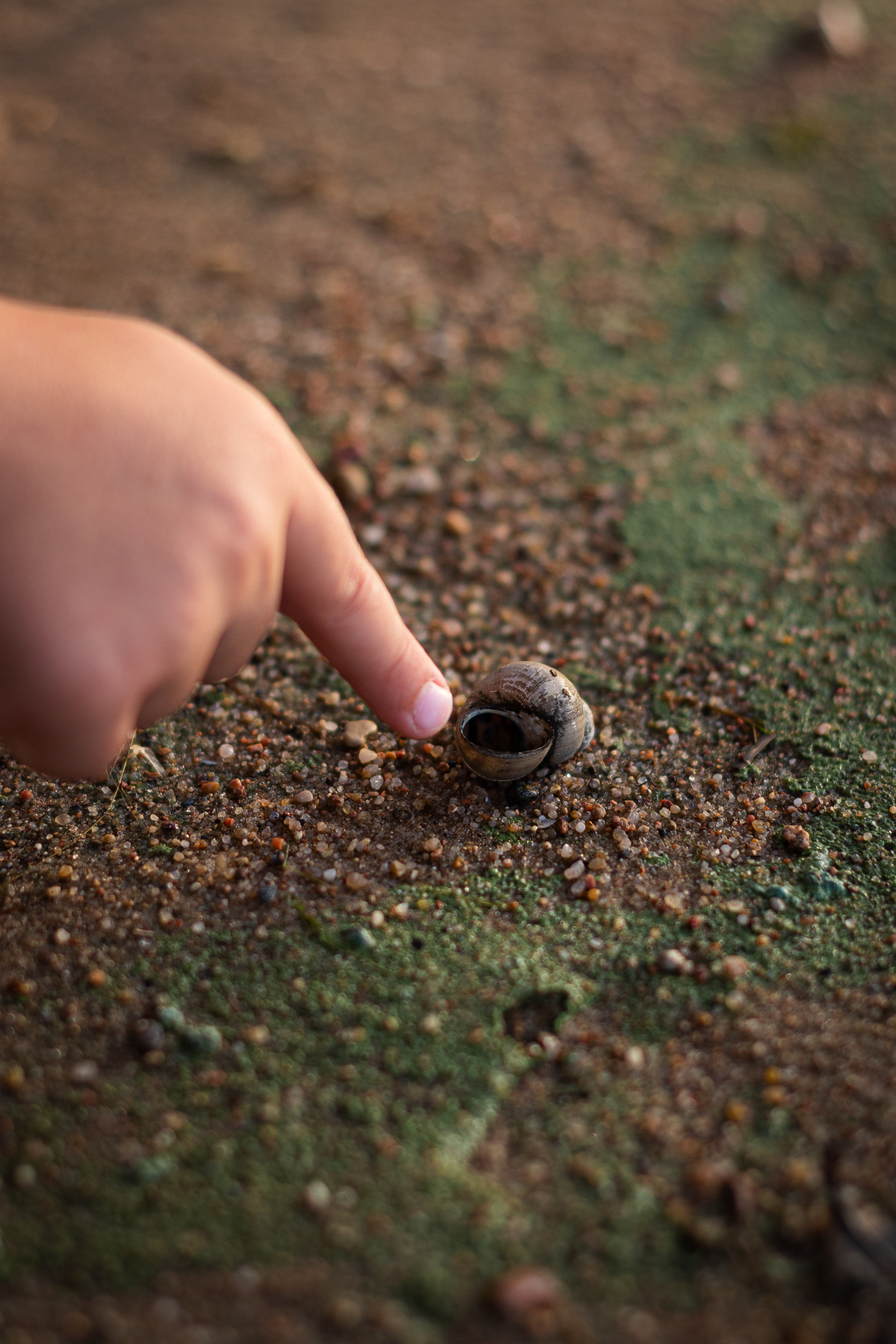 Семейная / детская. Фотограф ВИКА МЕДУЗА
