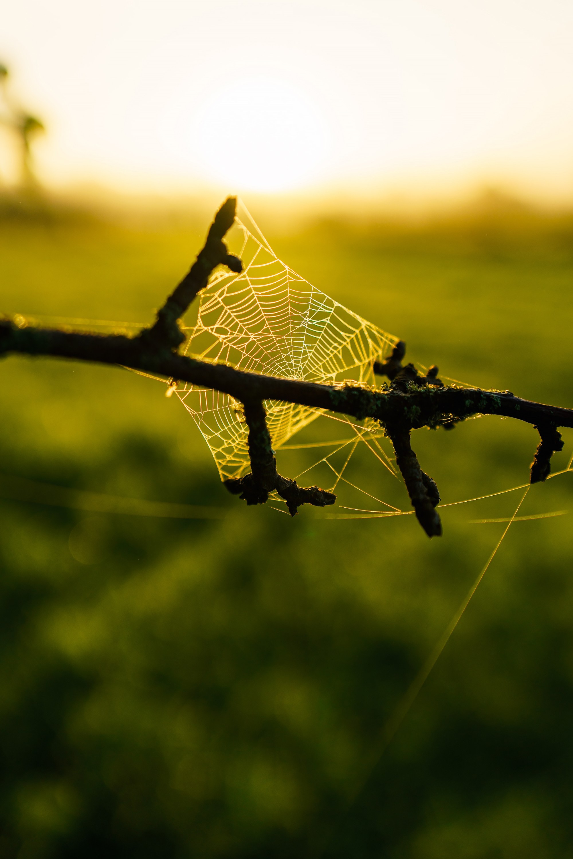 Фотографии Национальный парк Угра. Фотограф спортивные события, недвижимость, турбизнес