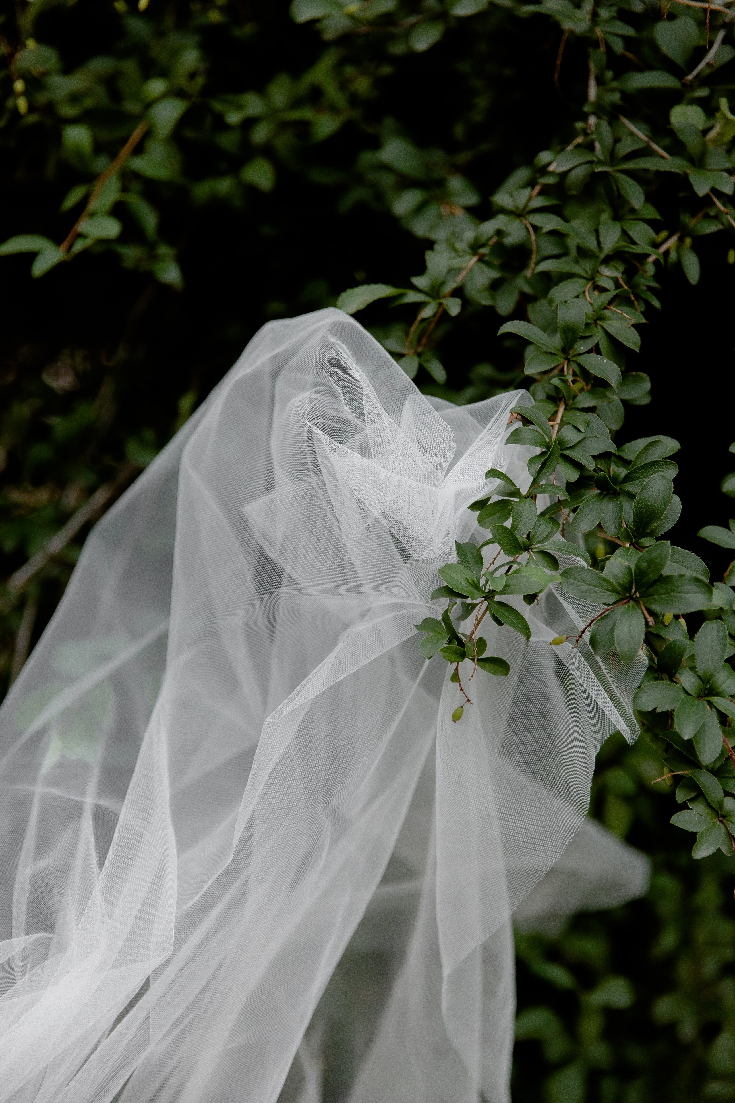 D & K. Свадебный и семейный фотограф Анжелика Альашкар в Казани Татарстан