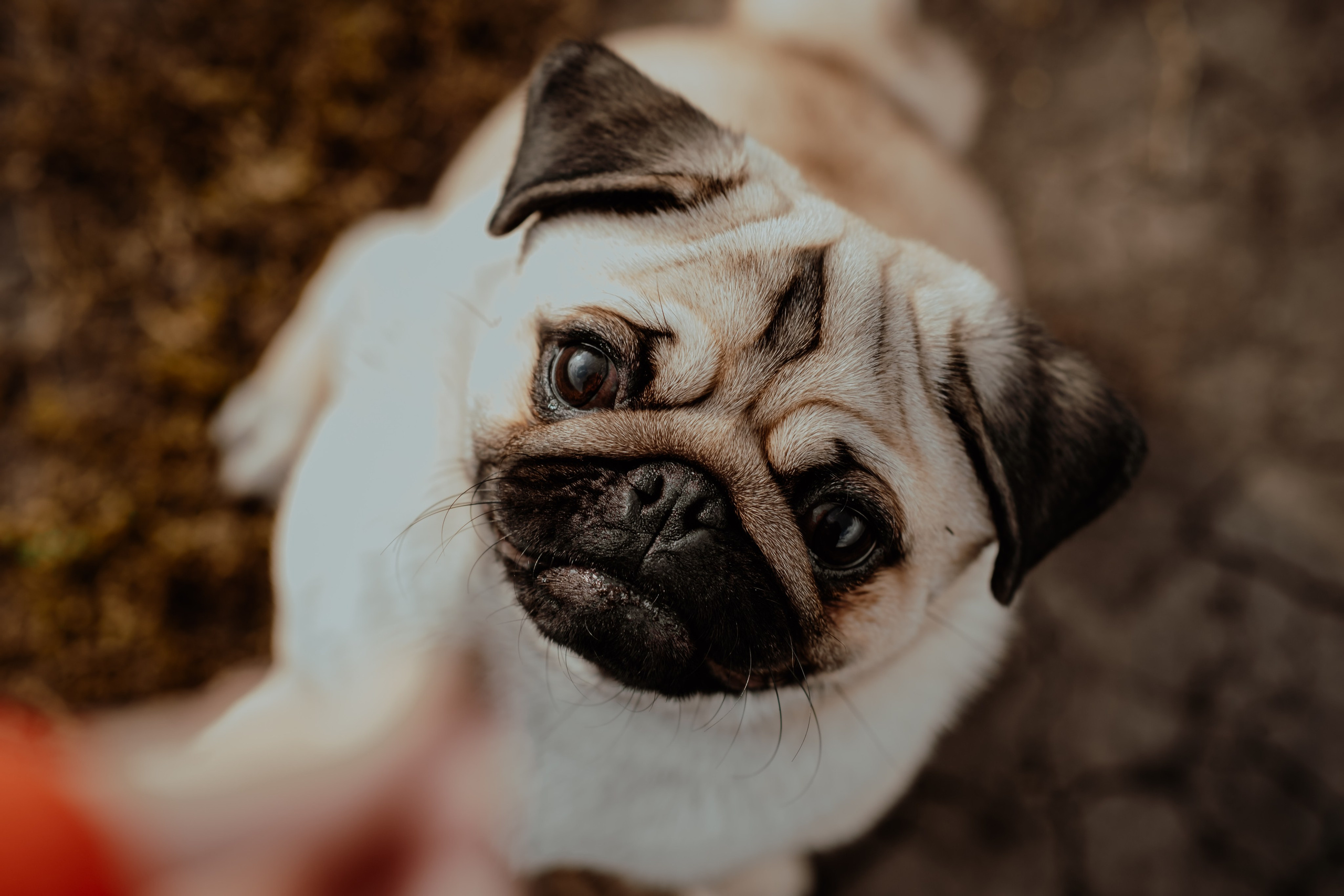 Татьяна и Алексей. Свадебный фотограф Челябинск