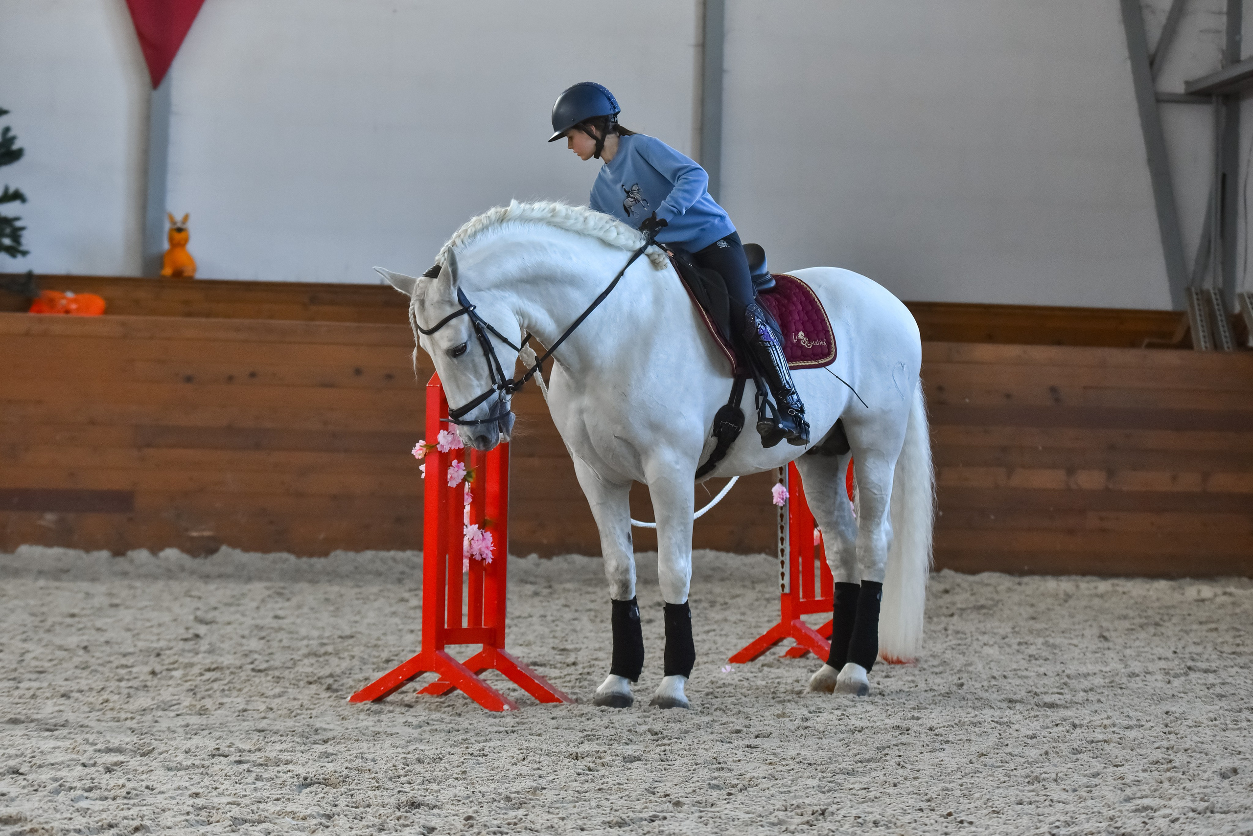 Репортажная съемка конных мероприятий. Конный фотограф из Москвы Ирина Бондаркова