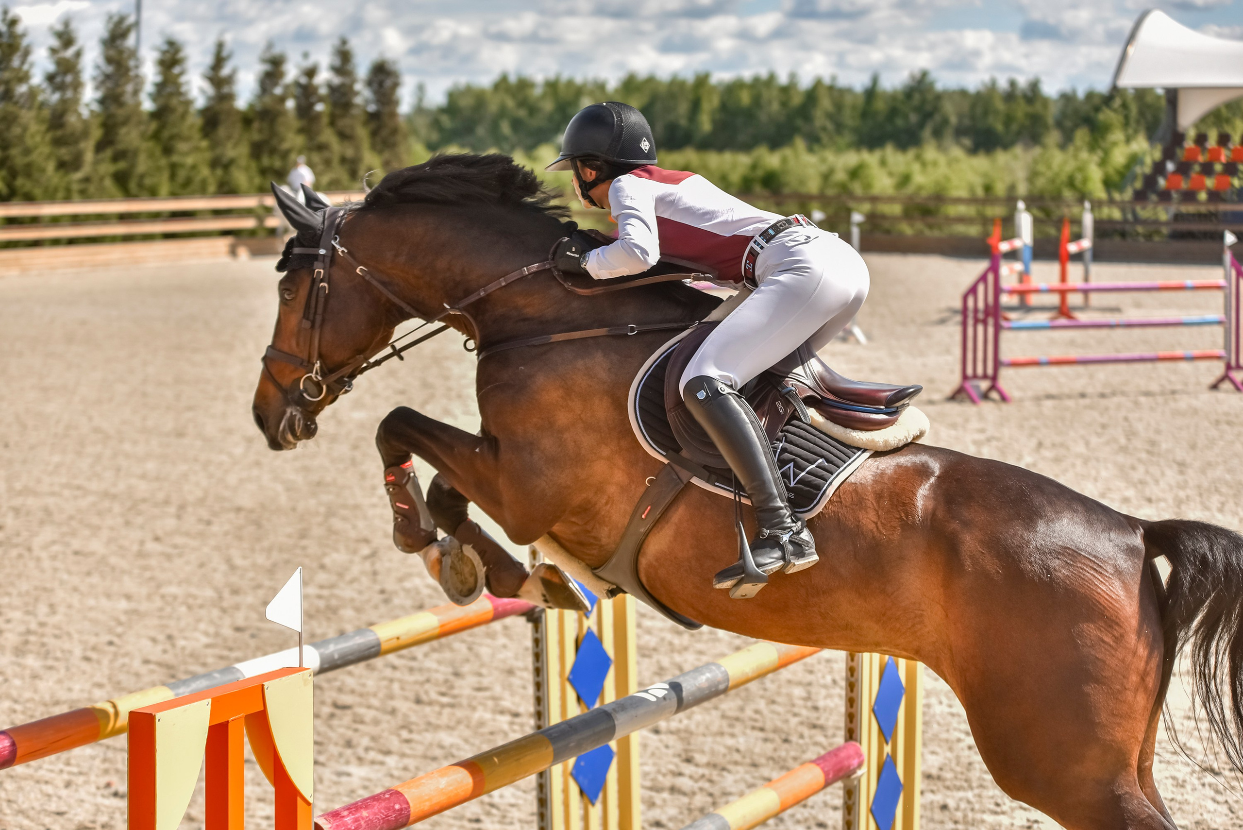 Репортажная съемка конных мероприятий. Конный фотограф из Москвы Ирина Бондаркова