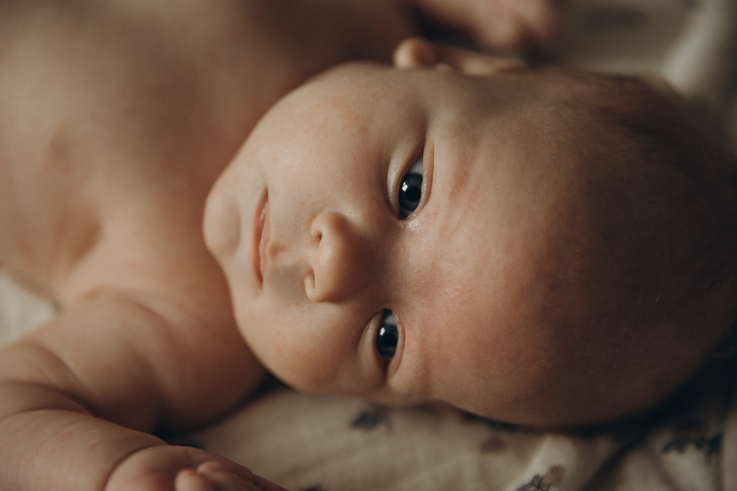 Фотосессия большой семьи. Семейный фотограф в Москве и Королеве Евгения Баукова