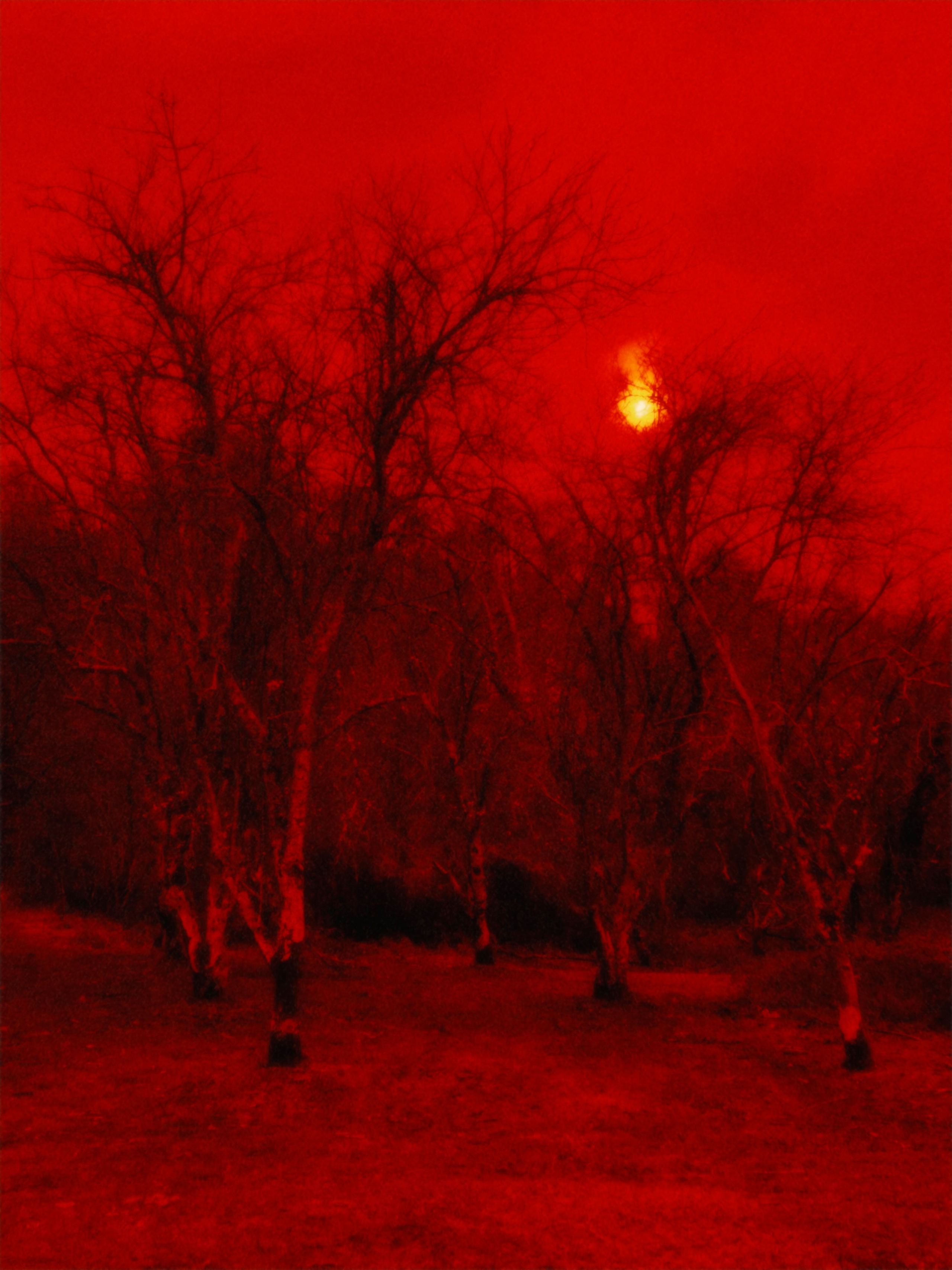 DISTURBING BEAUTY. Evgeniia Mikheeva — International visual artist