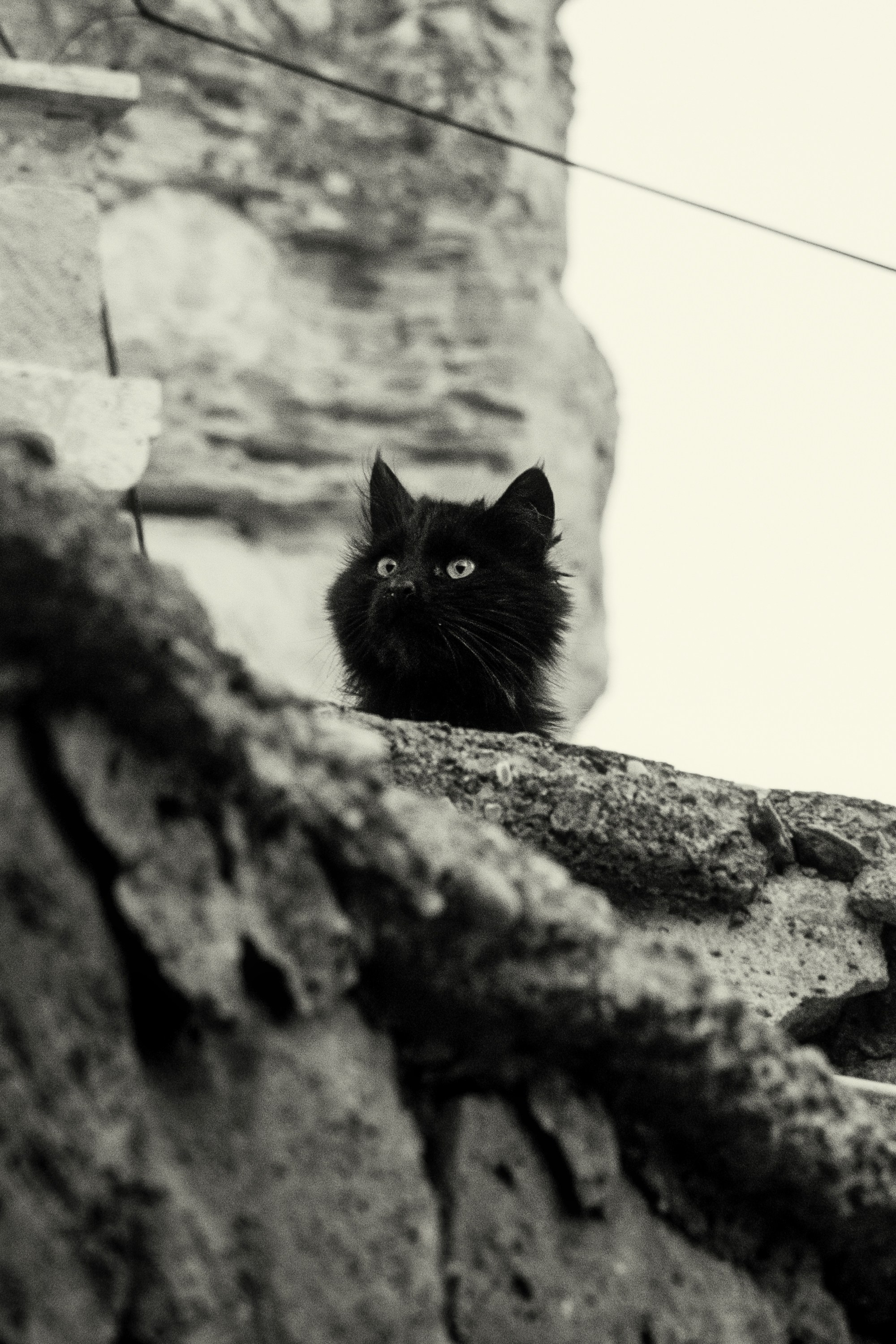 Турция, Греция, Иордания. Фотограф в Хабаровске. Фотография за 24 часа