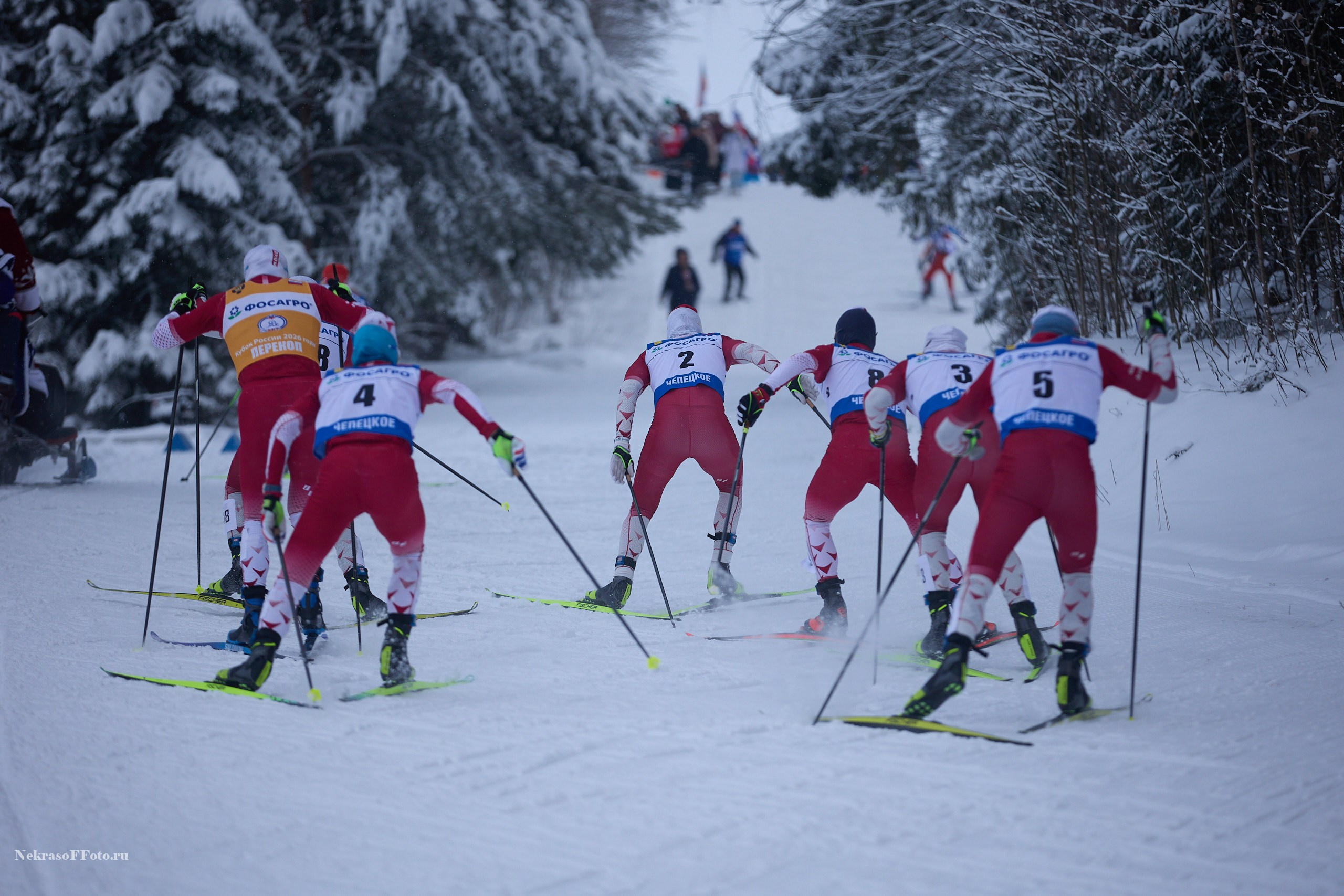 Кубок России по Лыжным гонкам. Спортивный фотограф Некрасов Денис