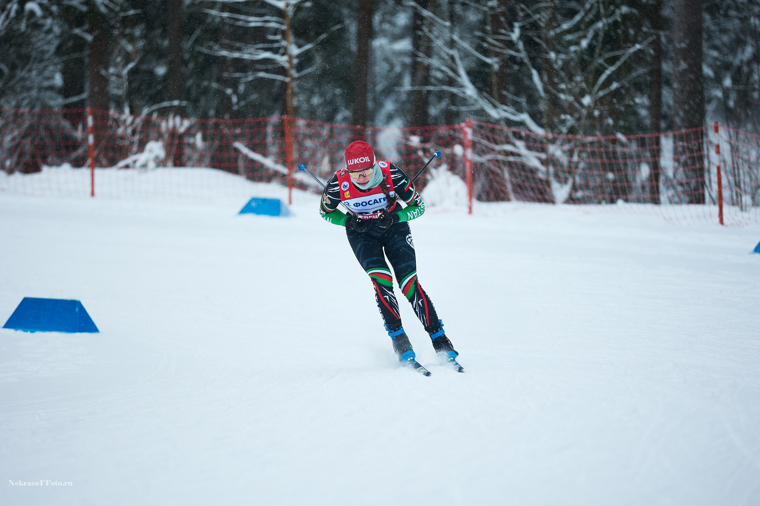 Кубок России по Лыжным гонкам. Спортивный фотограф Некрасов Денис